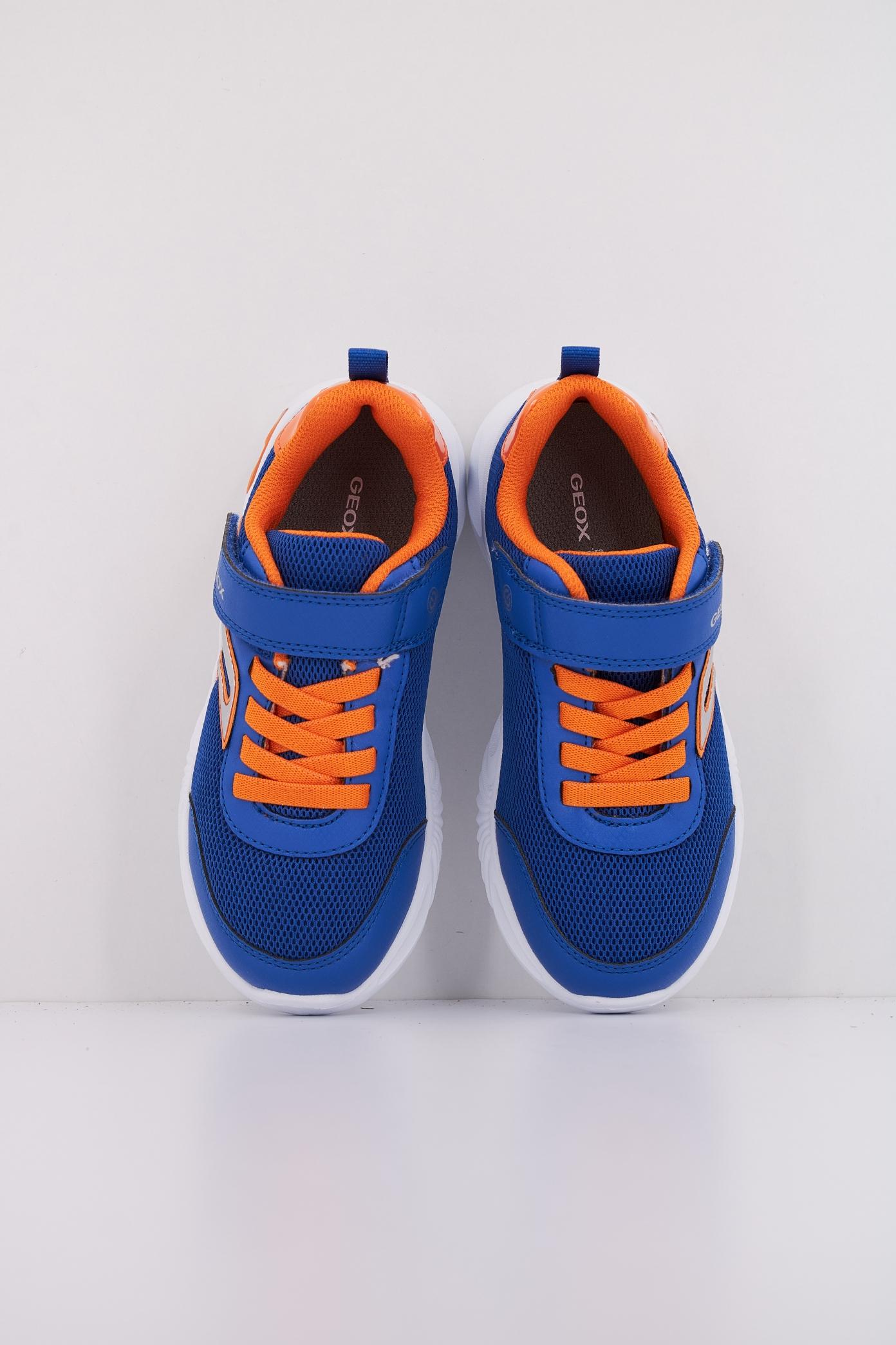 GEOX J ASSISTER BOY en color AZUL  (3)