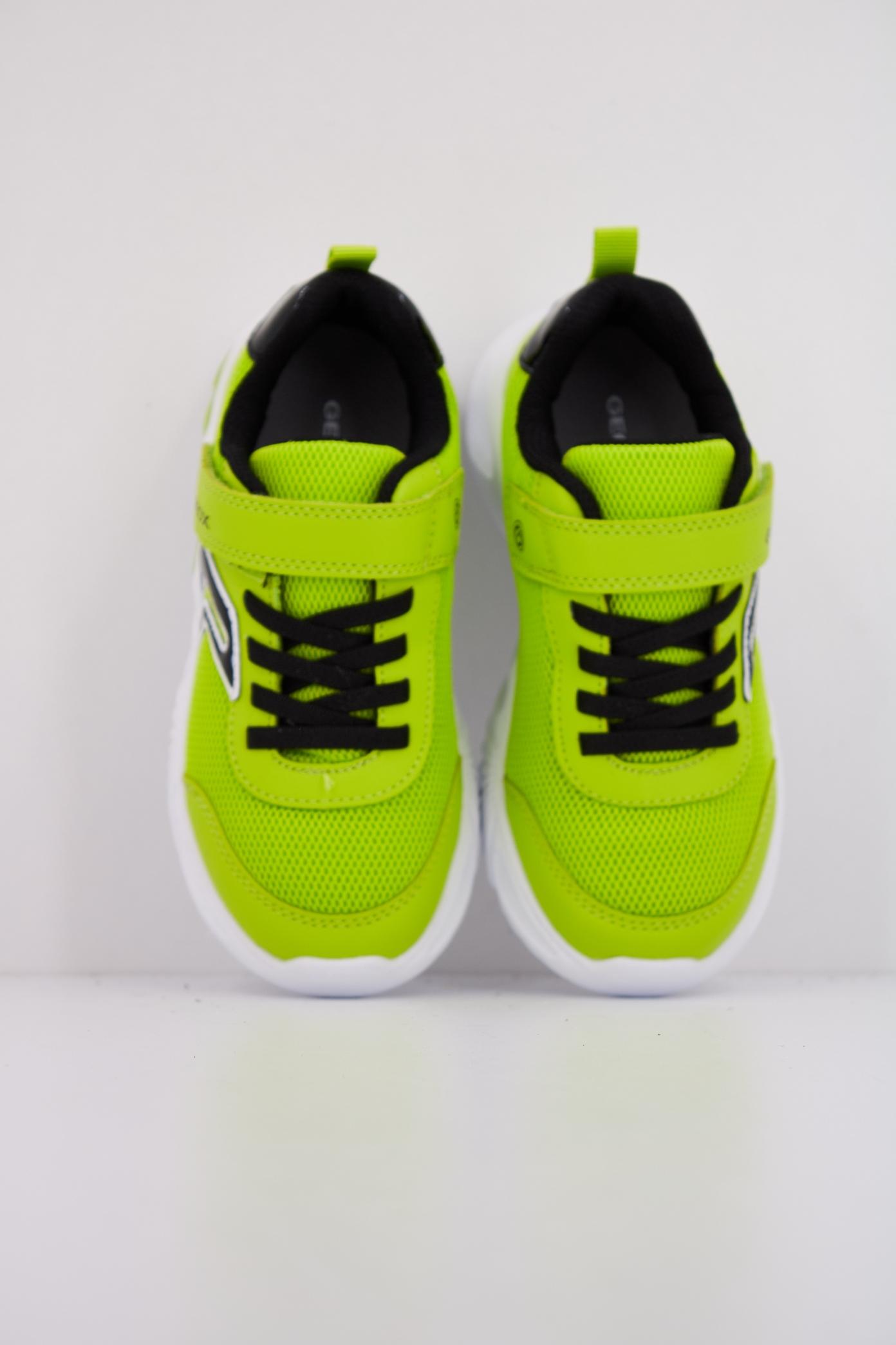 GEOX J ASSISTER BOY en color VERDE  (3)