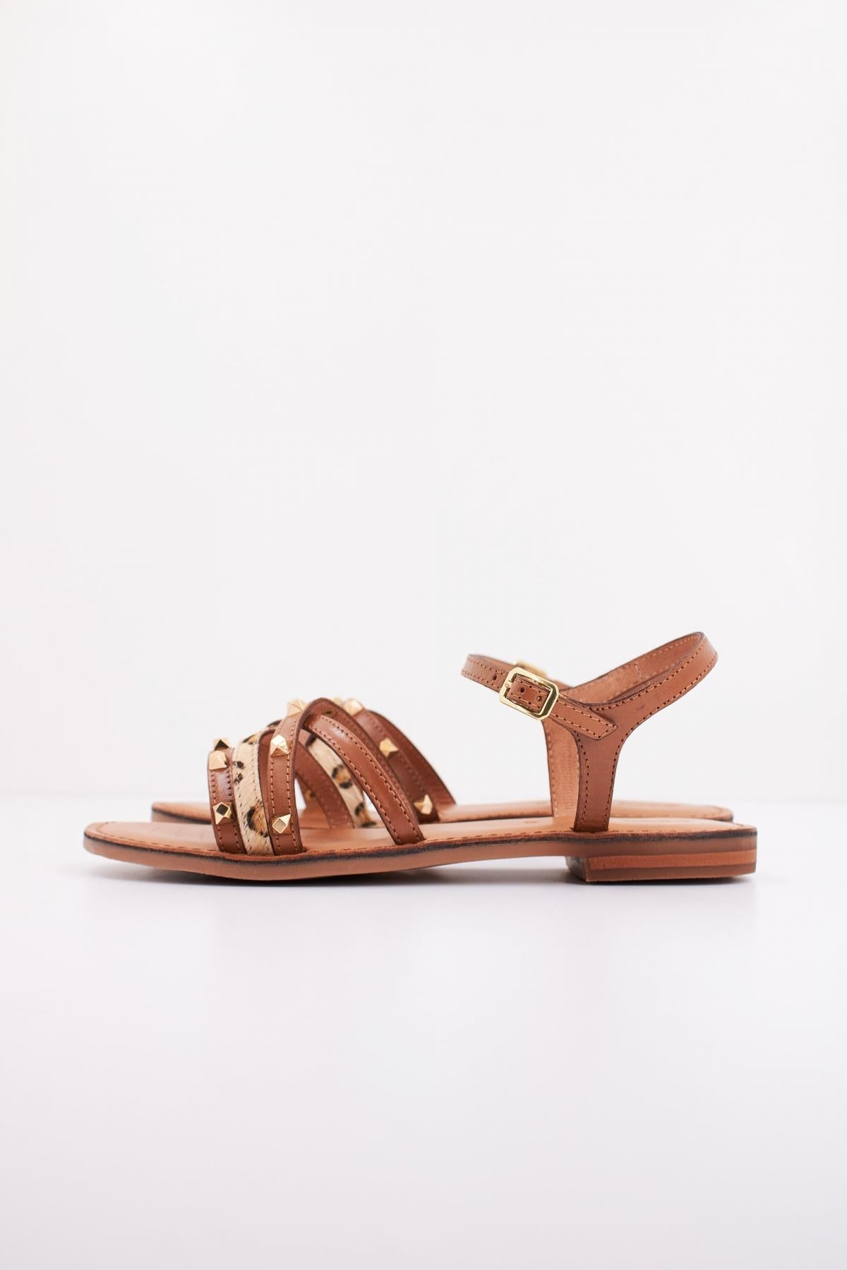 GEOX D MADDALUSIAC en color MARRON  (1)