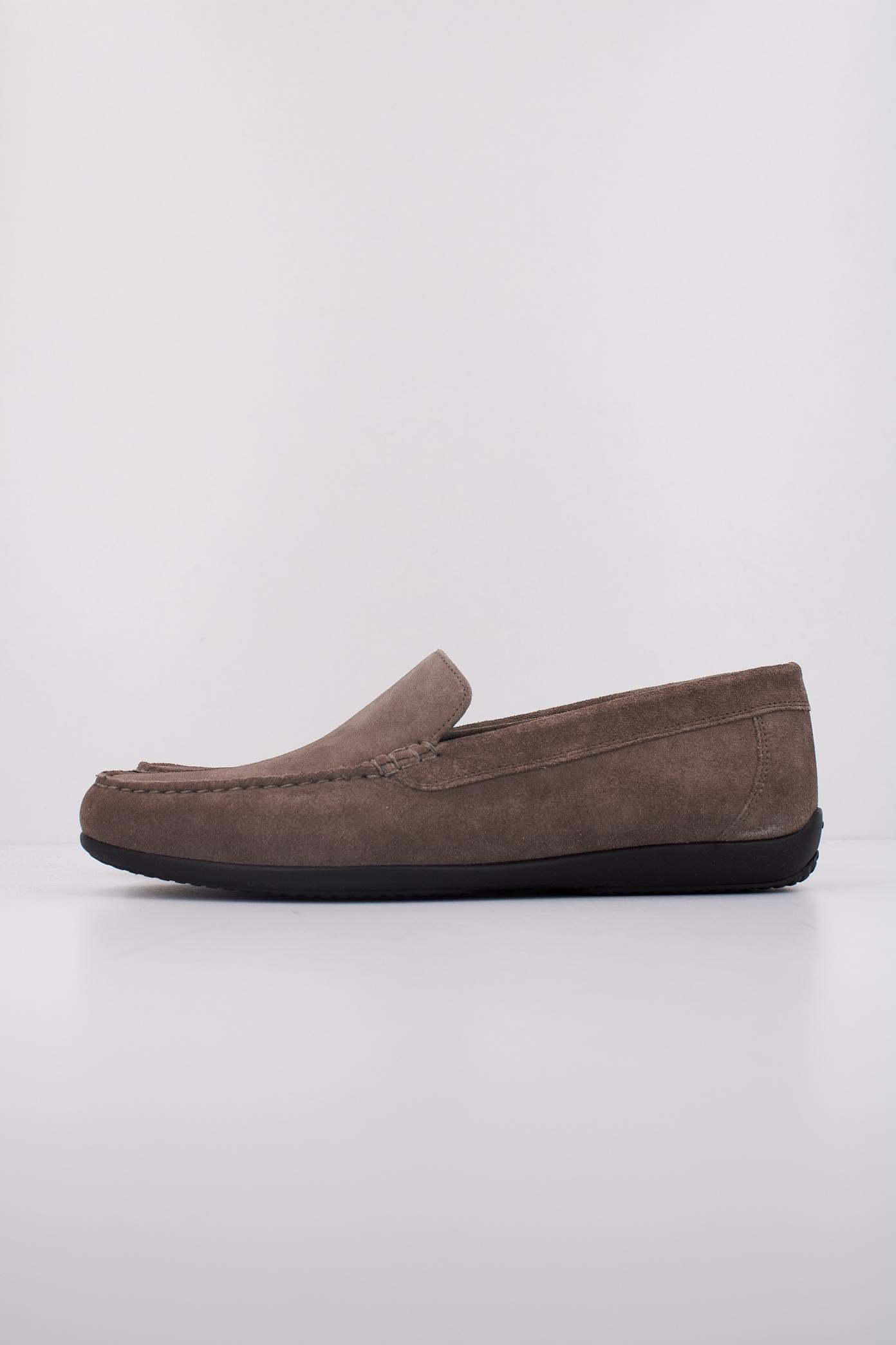 GEOX U ASCANIO en color MARRON  (1)