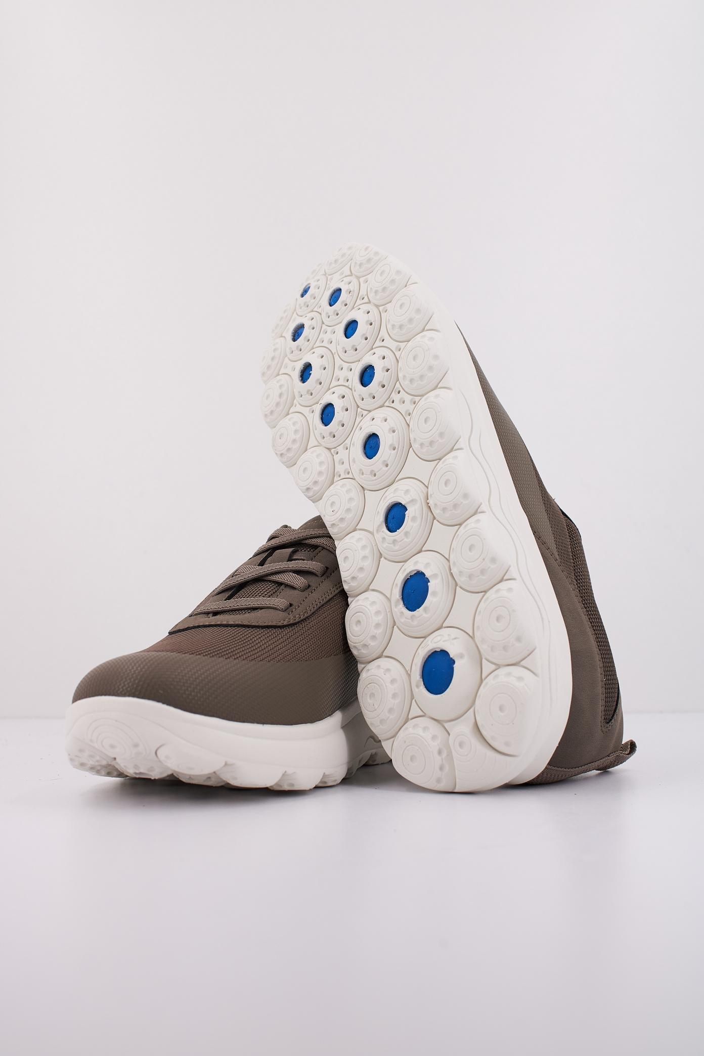 GEOX U SPHERICA en color MARRON  (5)