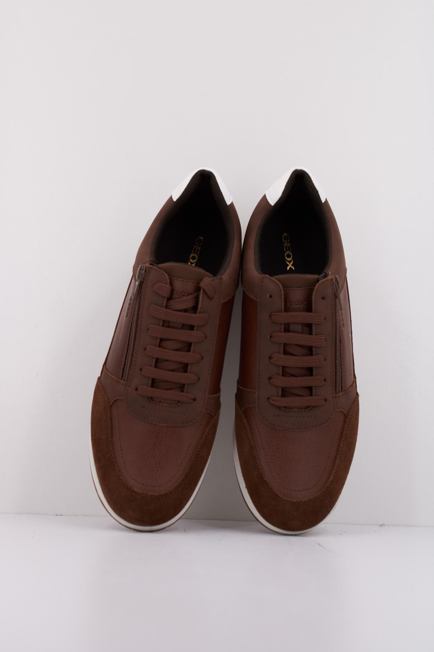 GEOX U AVERY en color MARRON  (3)