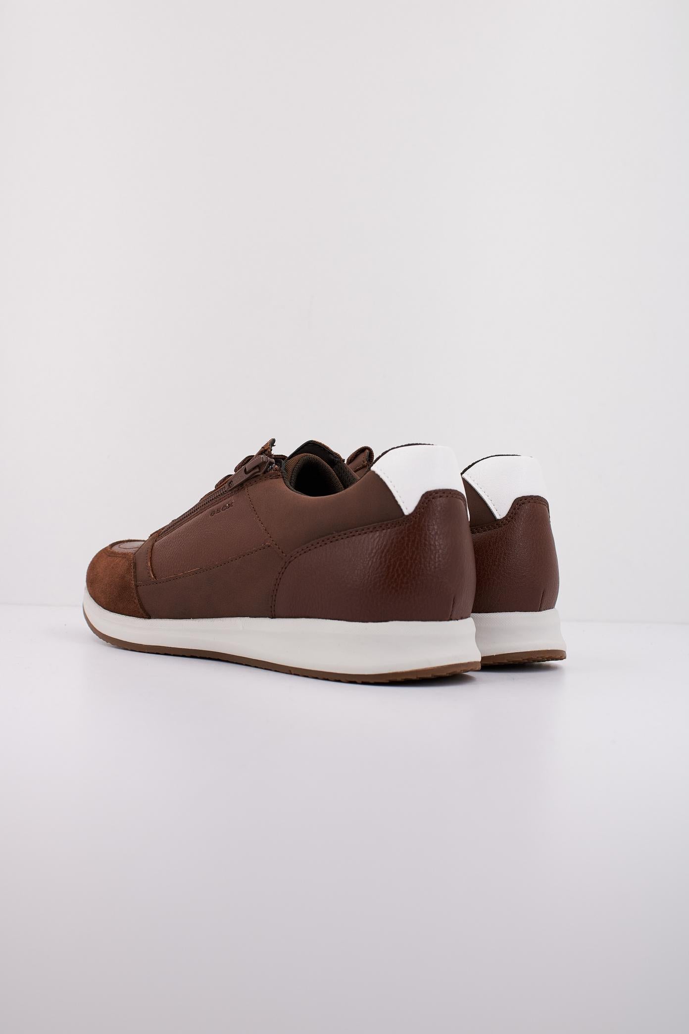 GEOX U AVERY en color MARRON  (4)