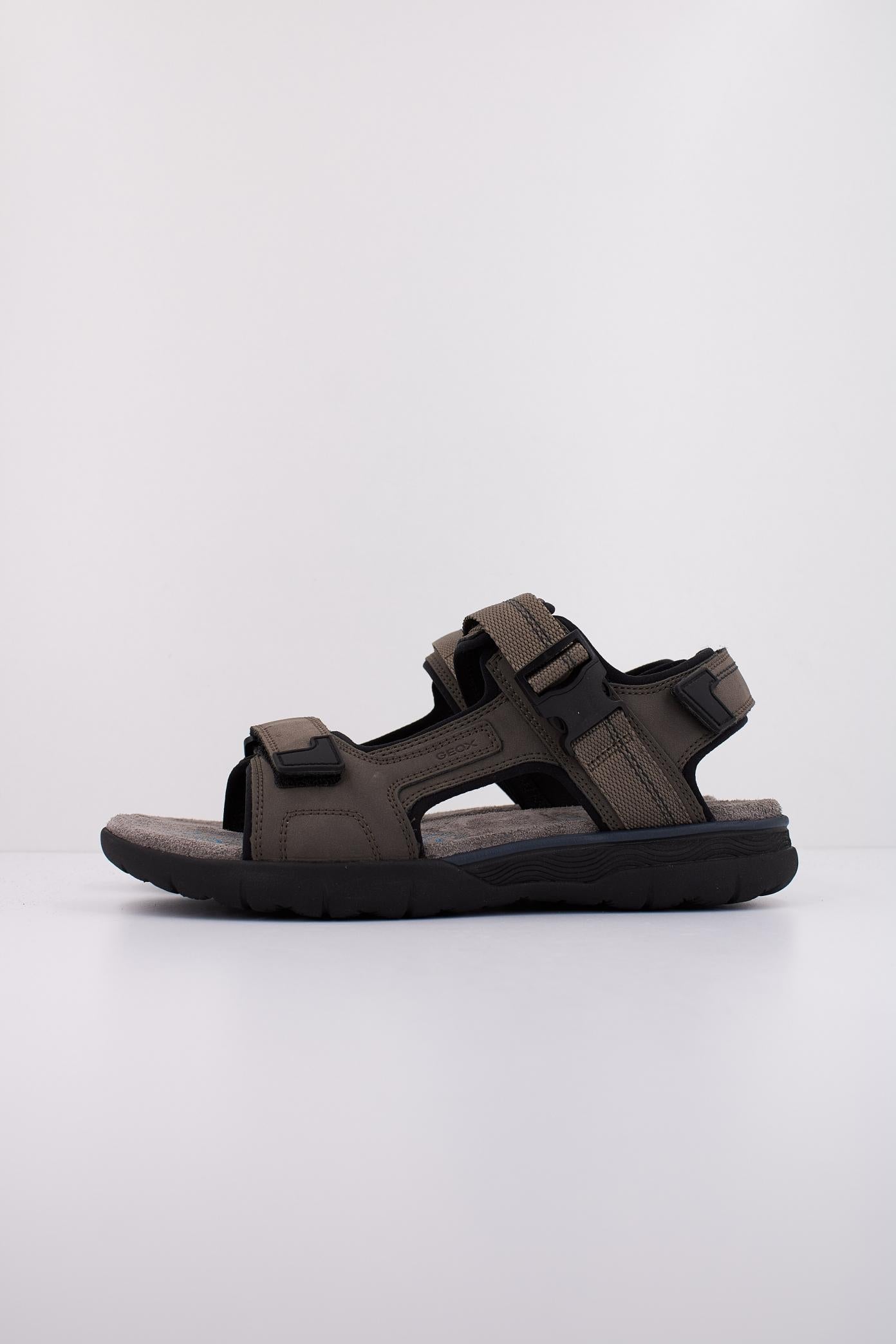 GEOX U SPHERICA EC en color MARRON  (1)