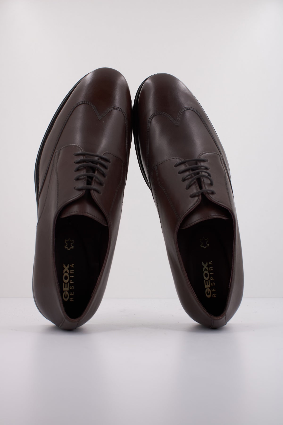GEOX U DECIO en color MARRON  (3)