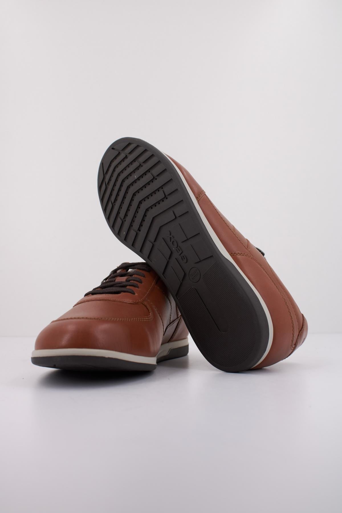 GEOX U RENAN en color MARRON  (5)
