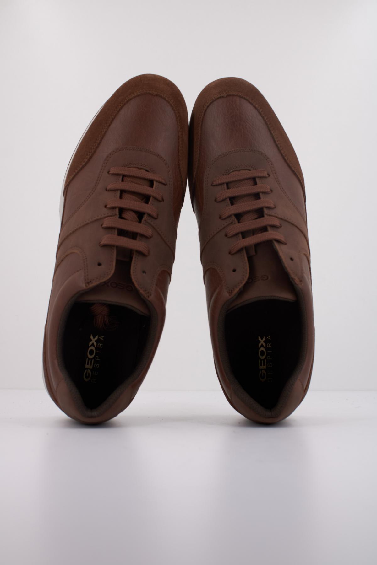GEOX U AVERY en color MARRON  (3)