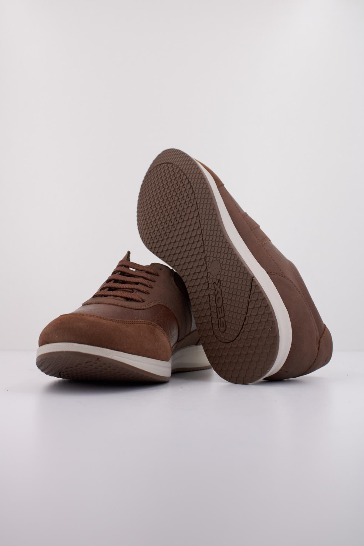 GEOX U AVERY en color MARRON  (5)