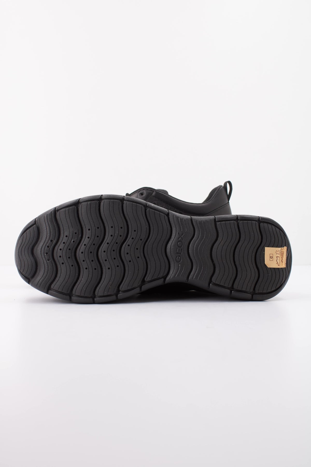 GEOX D XTORS en color NEGRO  (5)