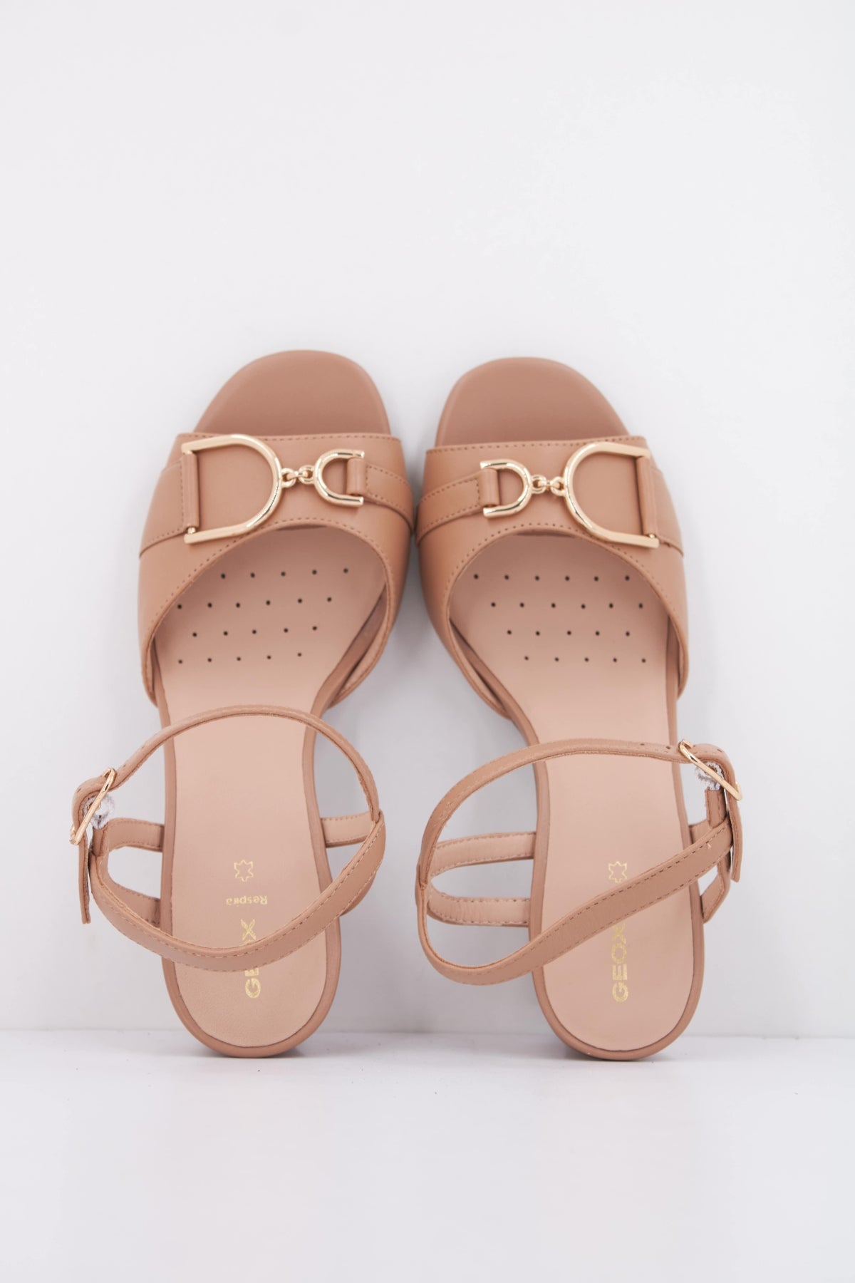 GEOX D NEW ERAKLIA  en color MARRON  (3)