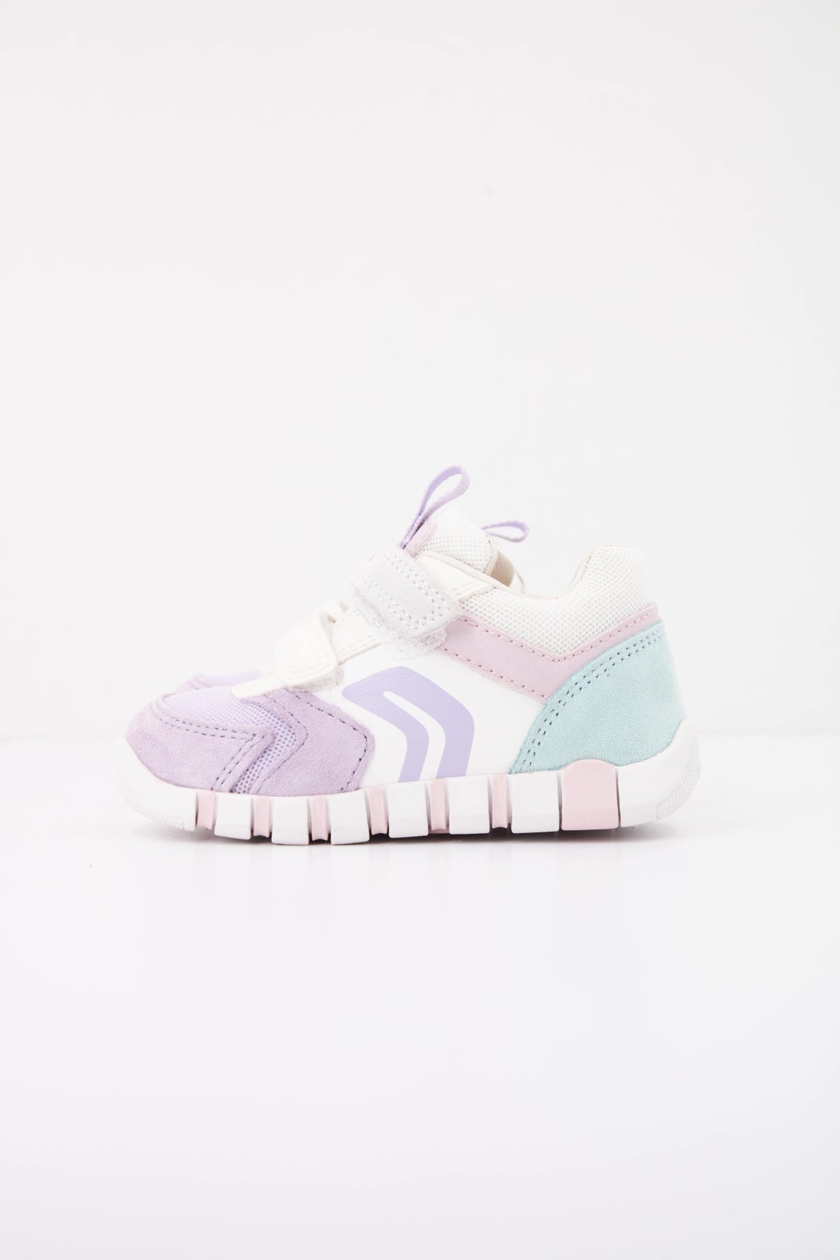GEOX BC  en color VIOLETA  (1)