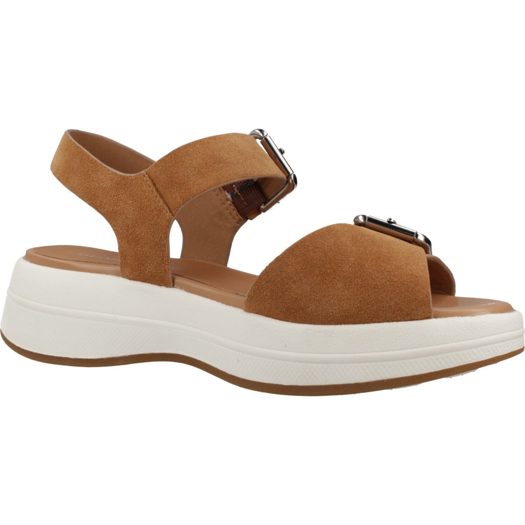 GEOX  D SPHERICA ECUB  S  en color MARRON  (5)
