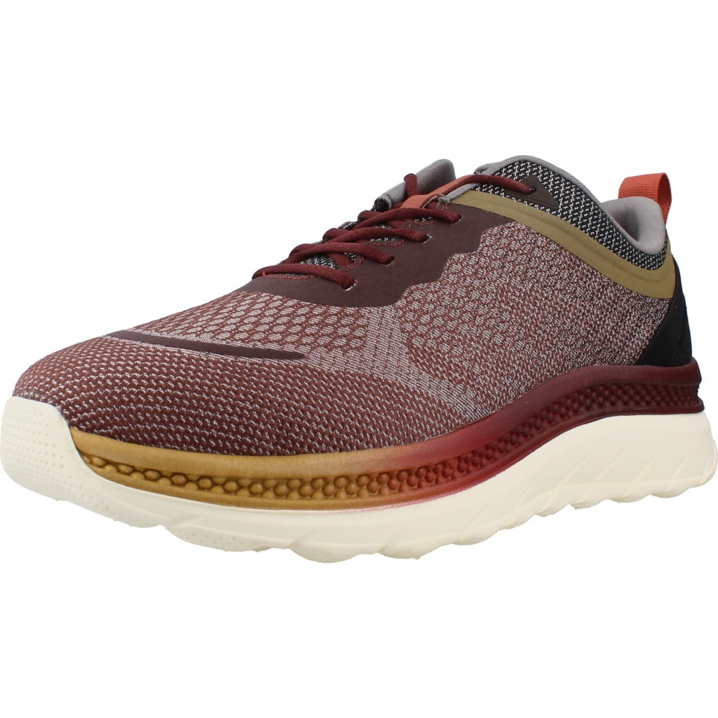 GEOX UGQC ZG en color MARRON  (1)