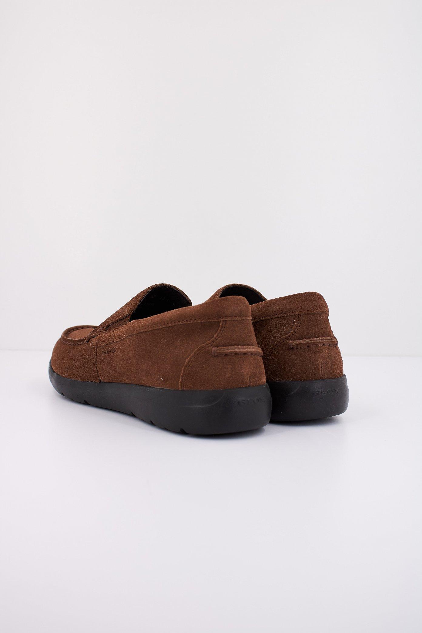 GEOX U LEITAN en color MARRON  (3)