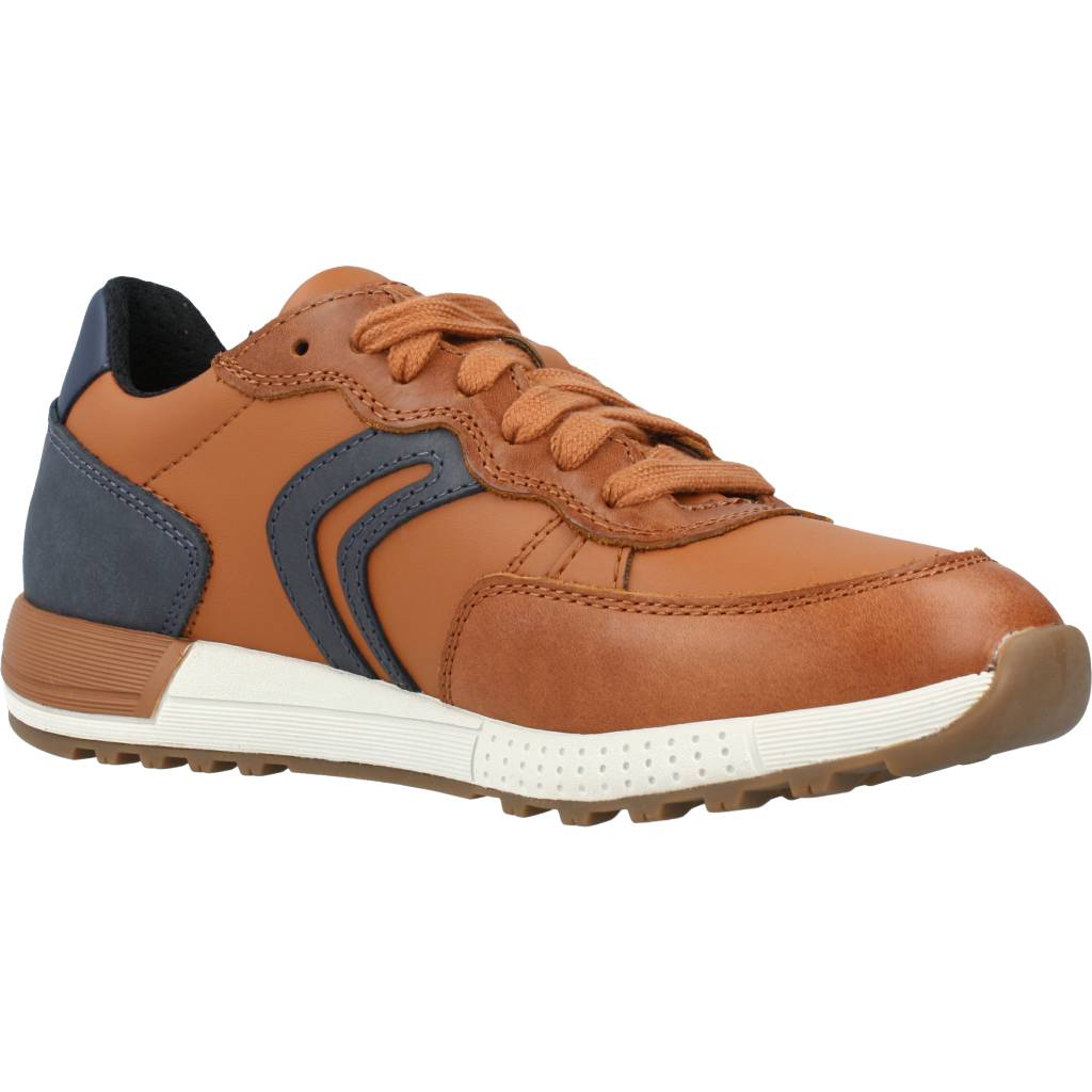 GEOX  J ALBEN BOY en color MARRON  (5)
