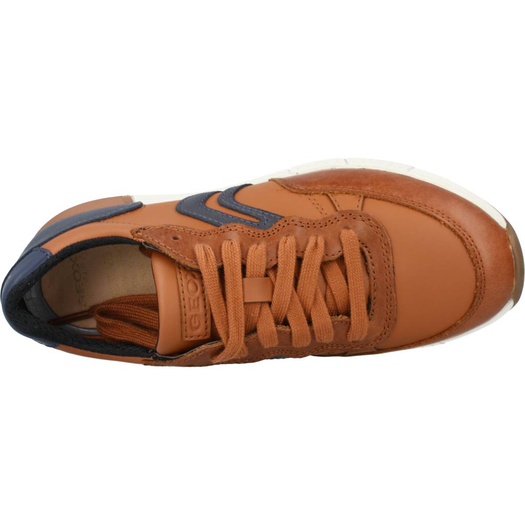 GEOX  J ALBEN BOY en color MARRON  (7)