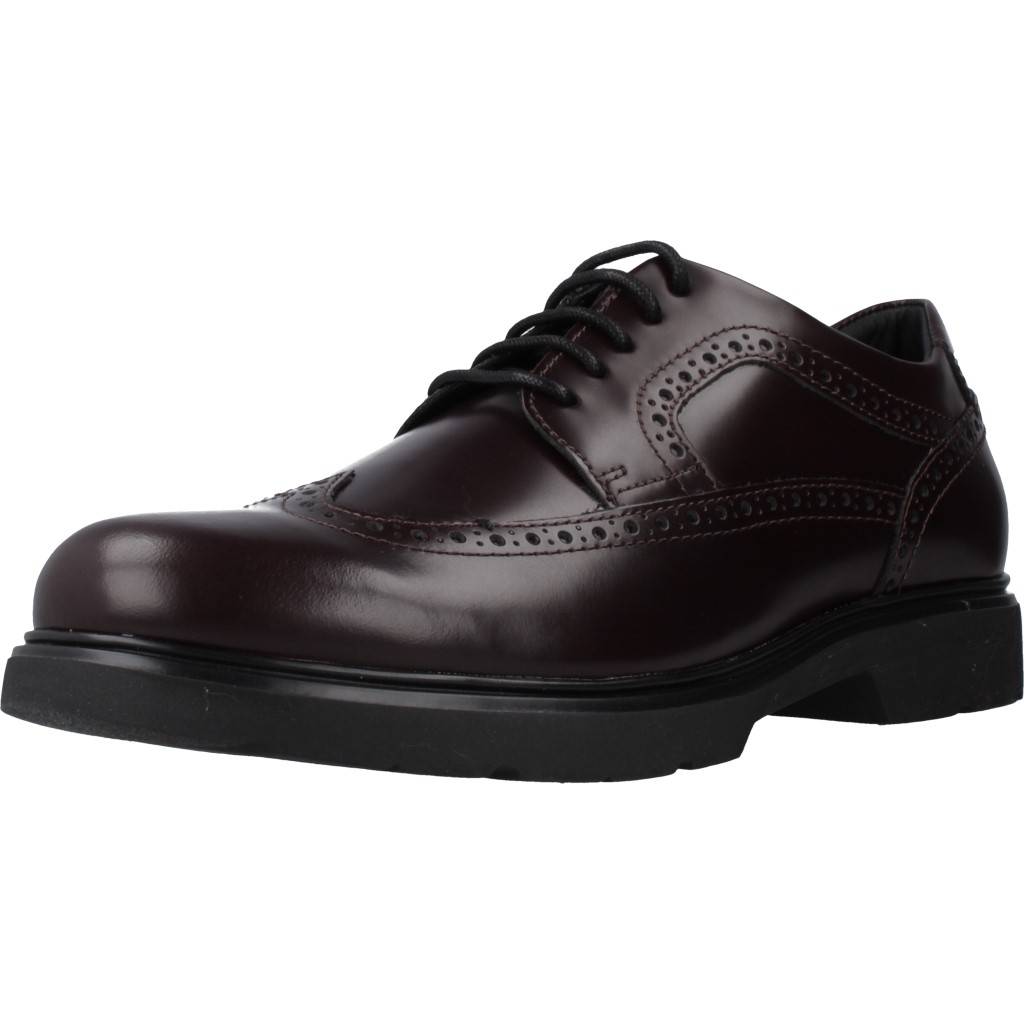 GEOX U ARRALL en color MARRON  (1)