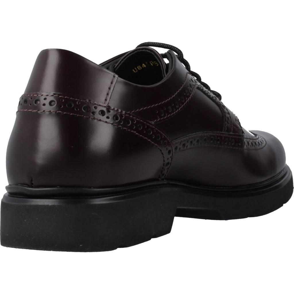 GEOX U ARRALL en color MARRON  (3)