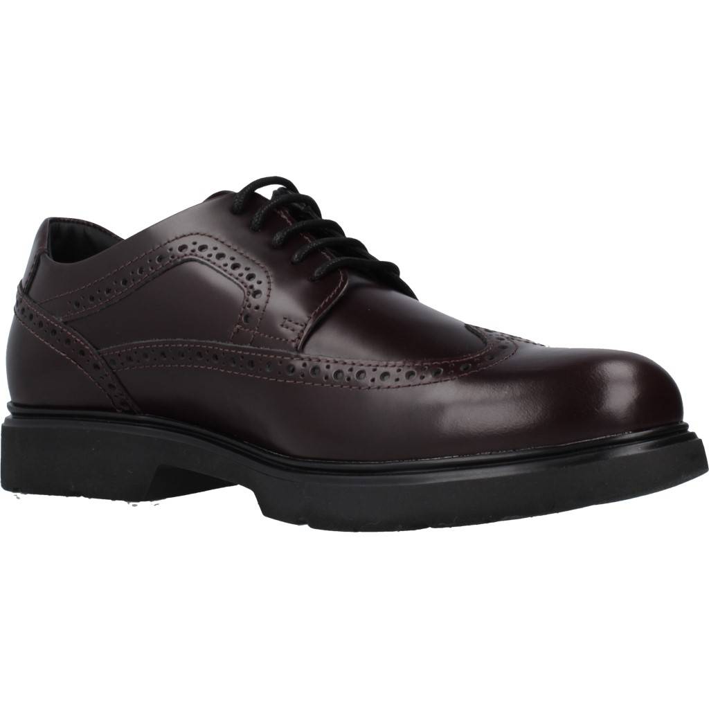 GEOX U ARRALL en color MARRON  (5)