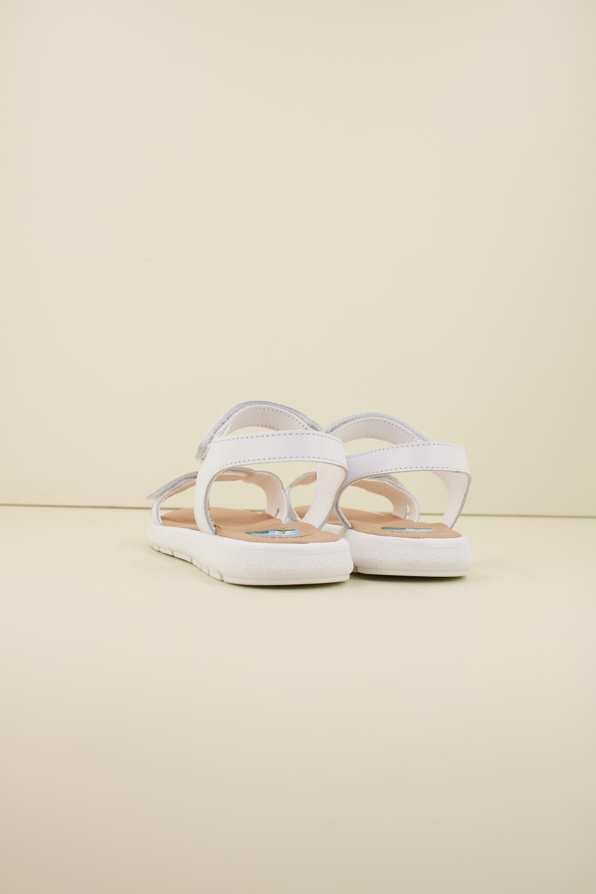 PABLOSKY P  en color BLANCO  (3)