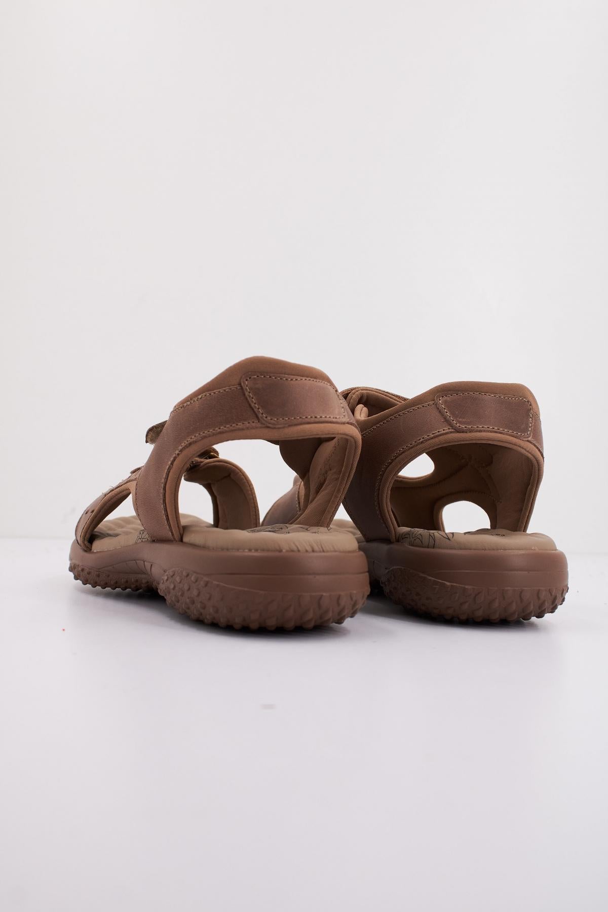 PANAMA JACK NILO BASICS B en color MARRON  (4)