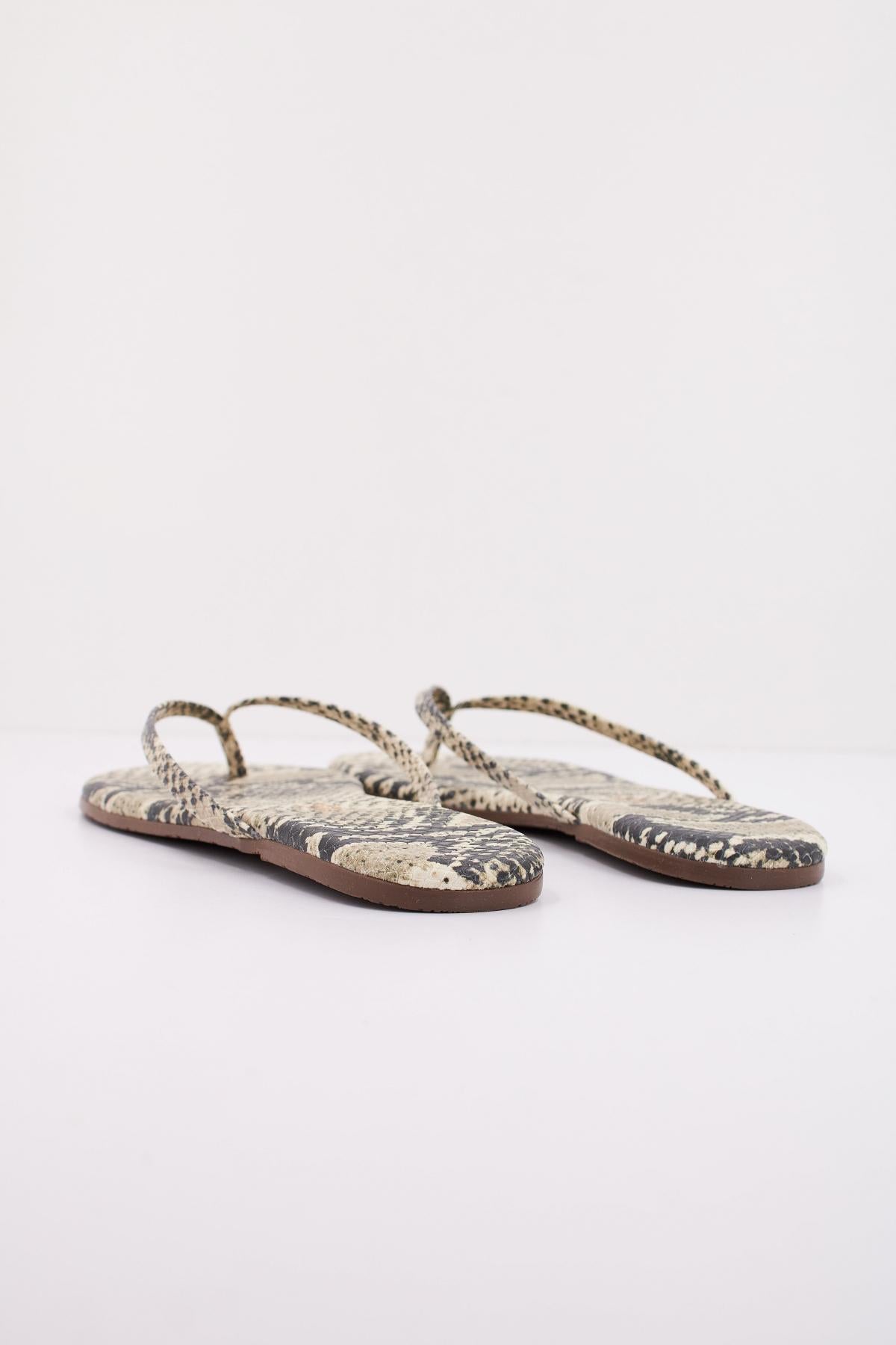 TKEES TKESTUDIO en color ANIMAL PRINT  (4)