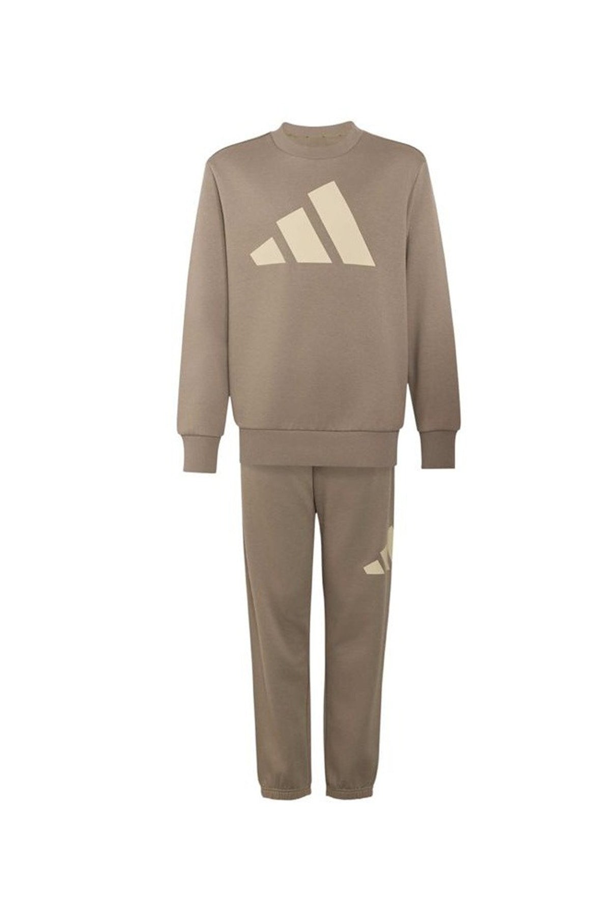 ADIDAS KQ BL  en color BEIS  (1)