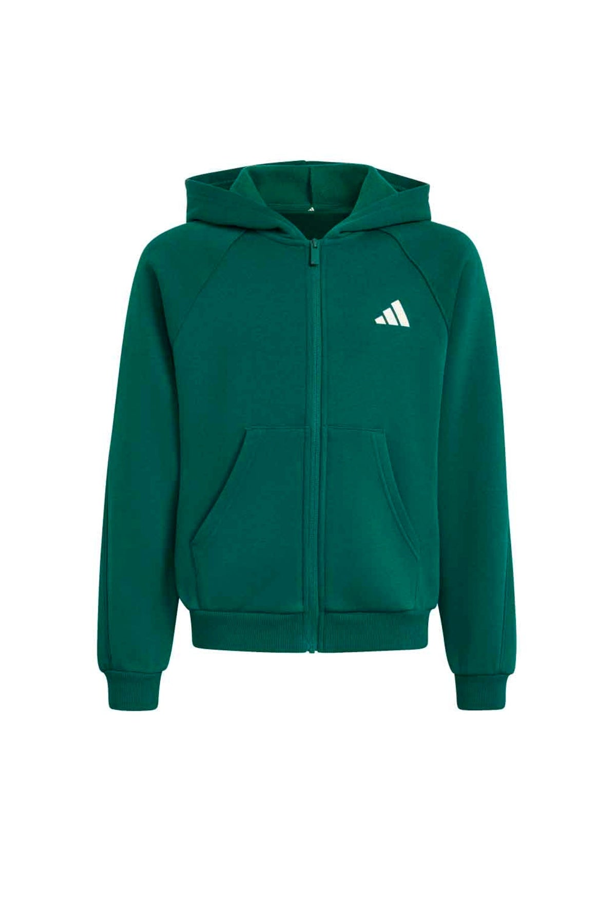 ADIDAS J CLGT FZ HD en color VERDE  (1)