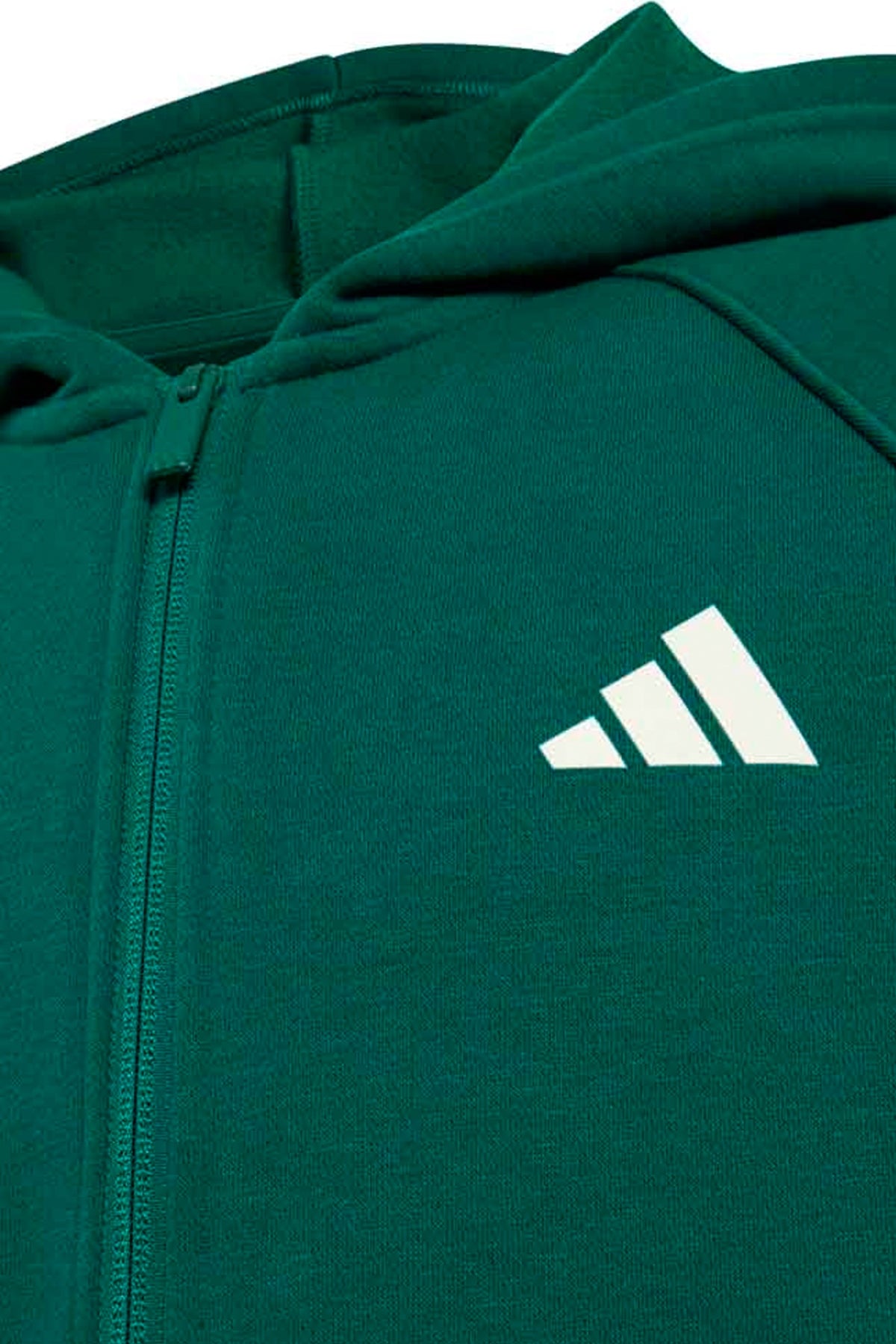 ADIDAS J CLGT FZ HD en color VERDE  (3)