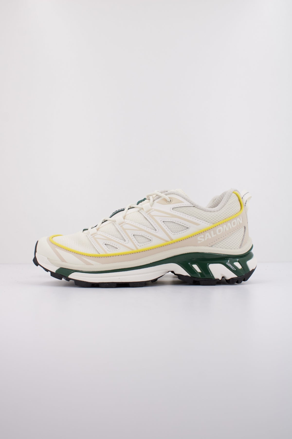 SALOMON XT  EXPANSE en color BEIS  (1)