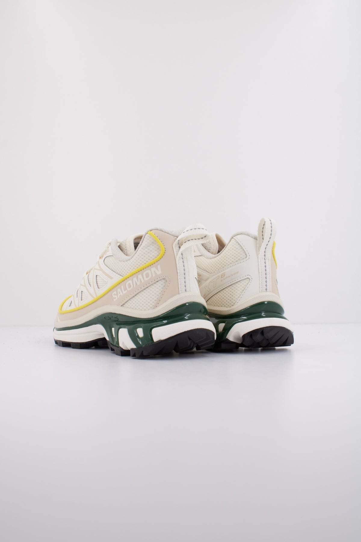 SALOMON XT  EXPANSE en color BEIS  (4)