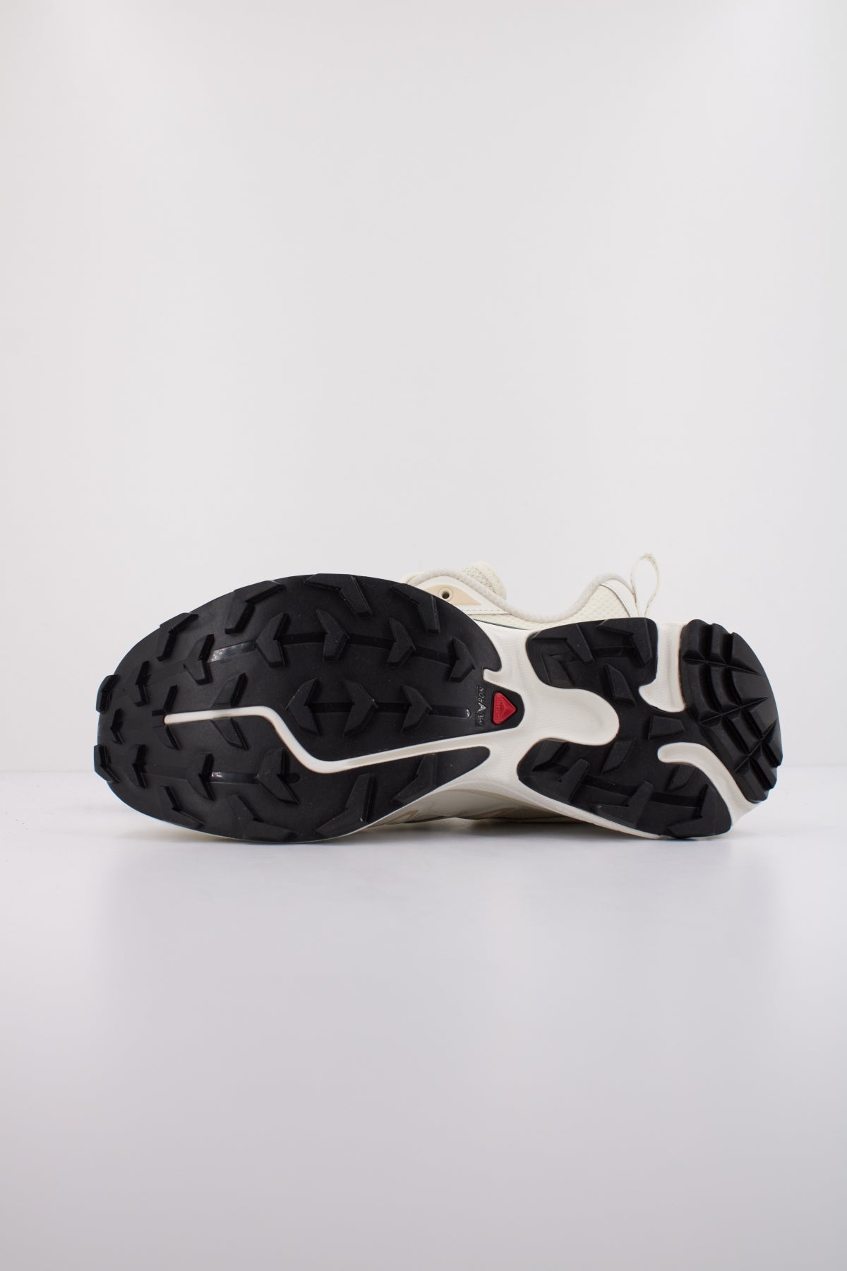 SALOMON XT  EXPANSE en color BEIS  (5)