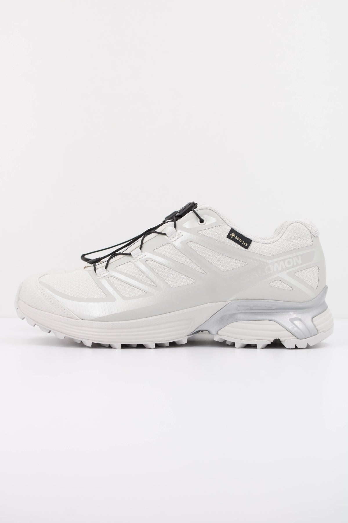 SALOMON XT PATHWAY GTX en color GRIS  (1)