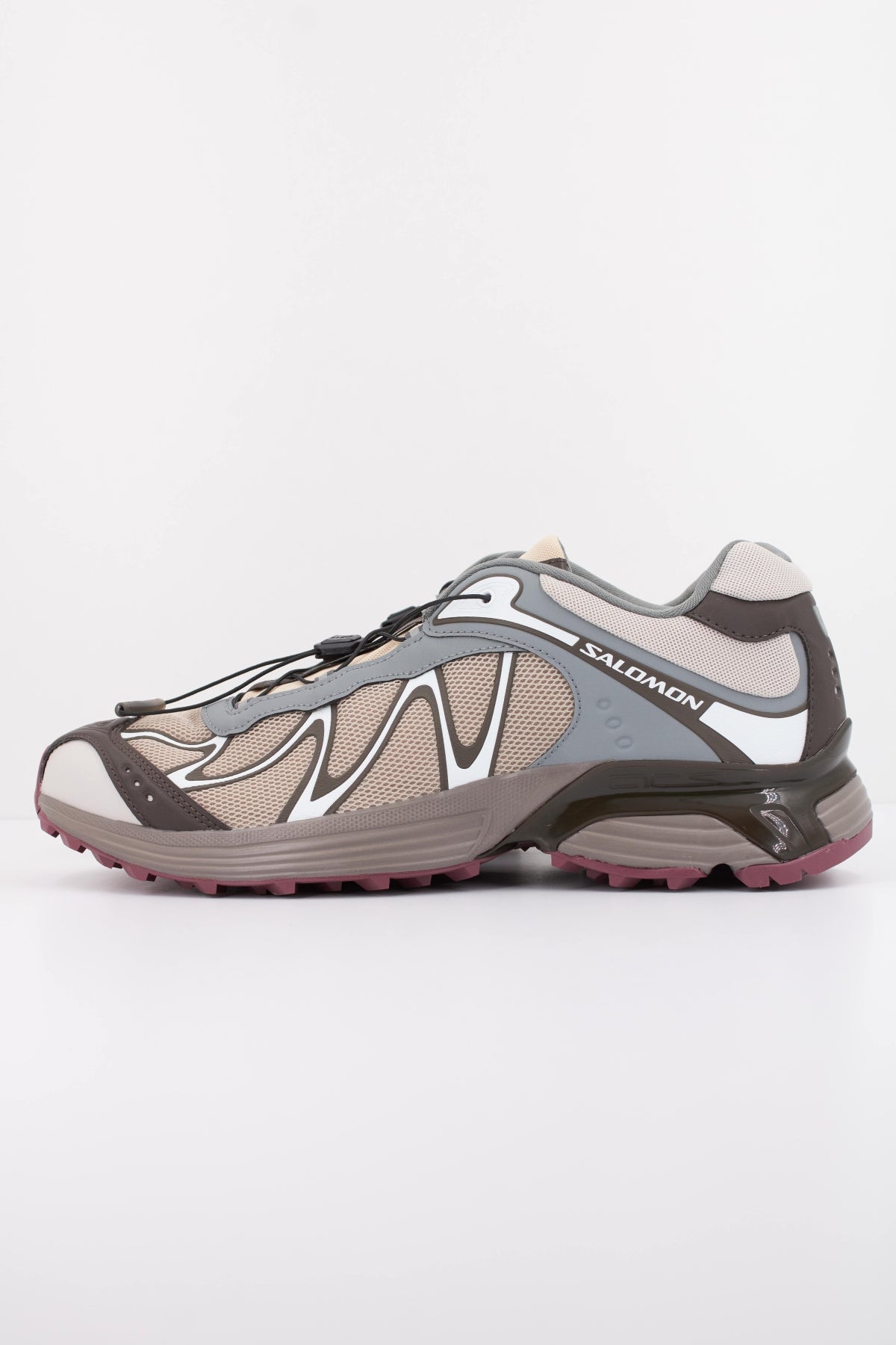 SALOMON XT WHISPER en color MARRON  (1)