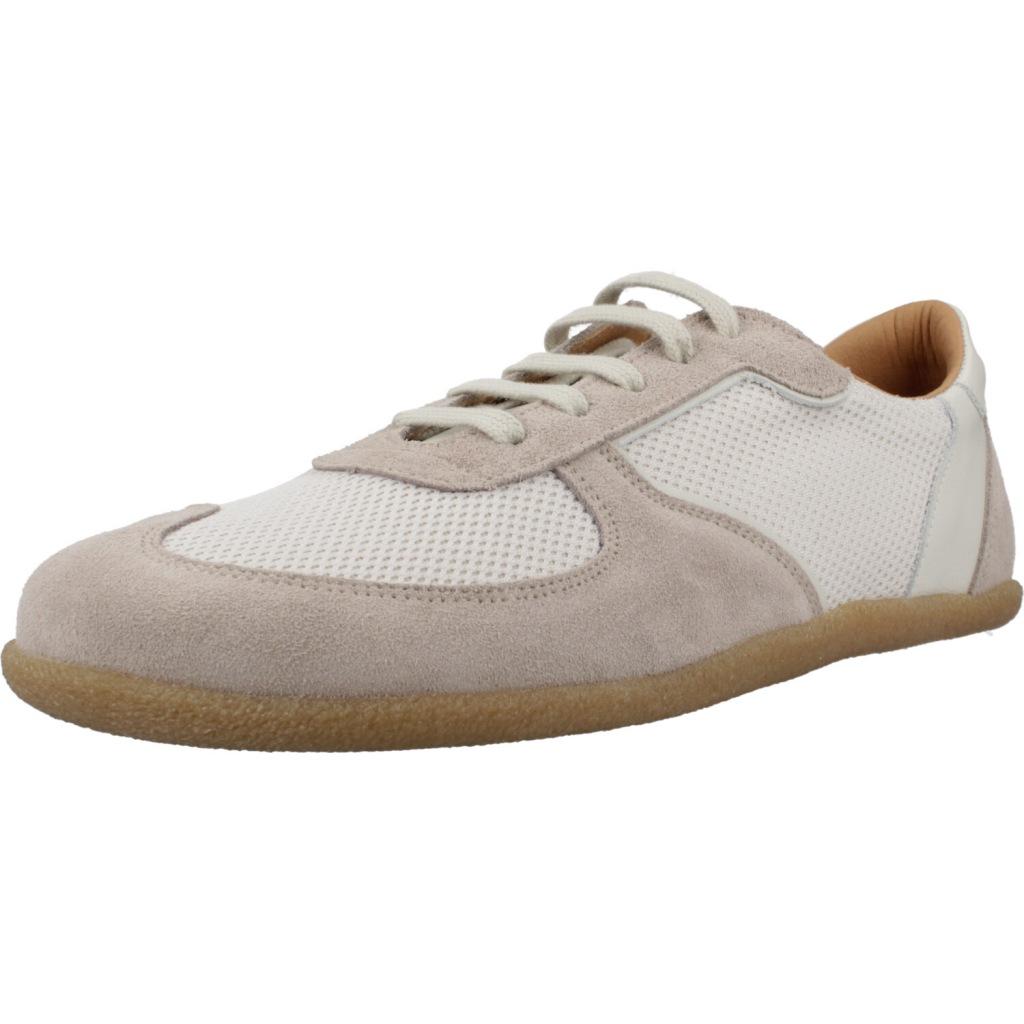 RAY MUSGO ANCHARIA en color GRIS  (1)
