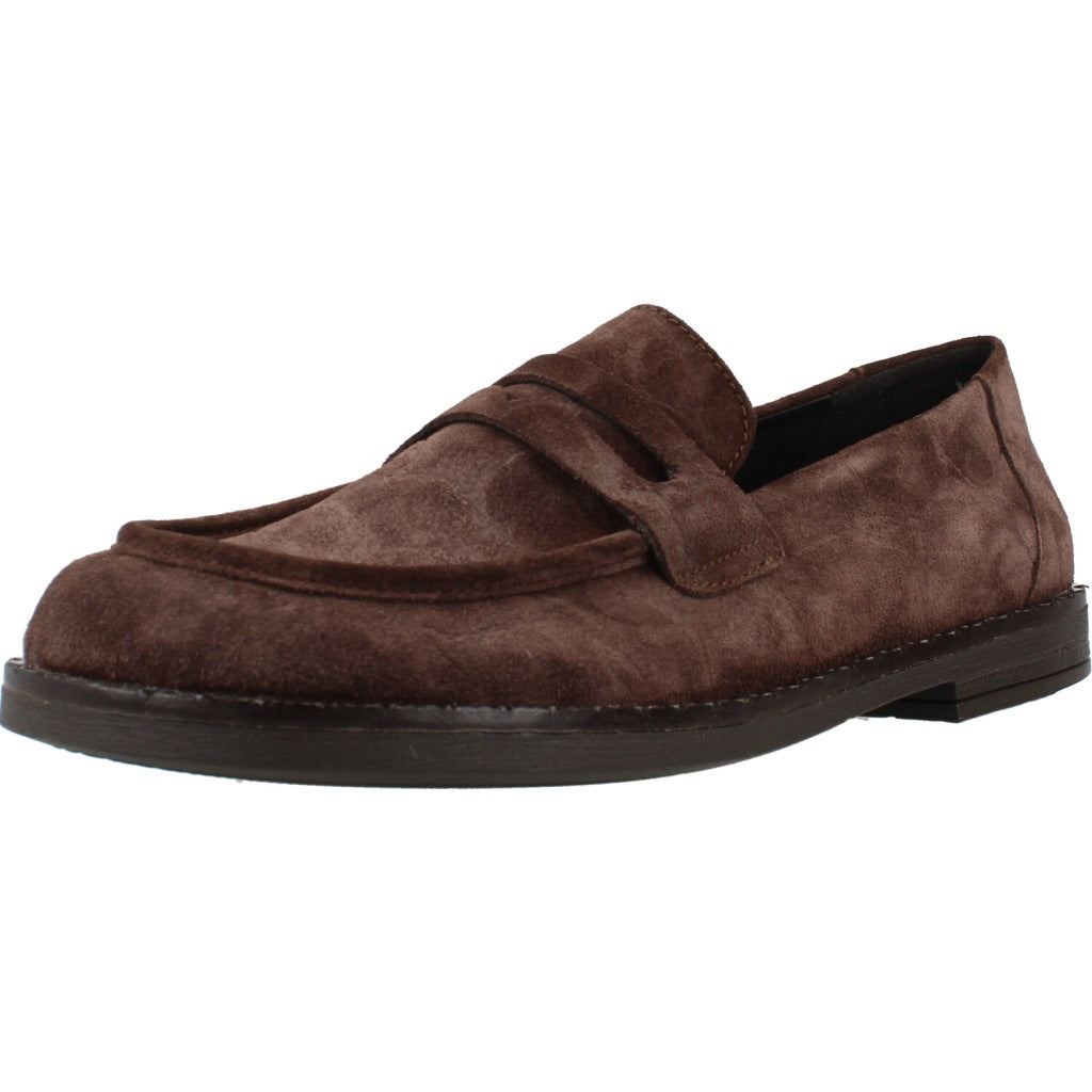 GAIMO BELISSE en color MARRON  (1)