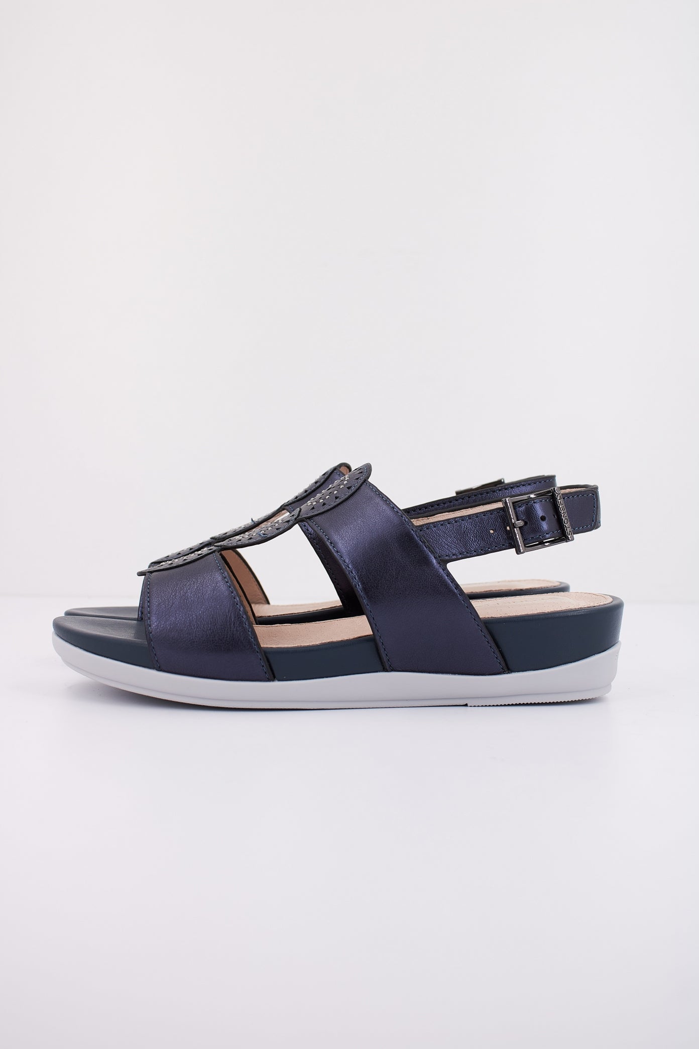 STONEFLY EVE  LAMINATED en color AZUL  (1)