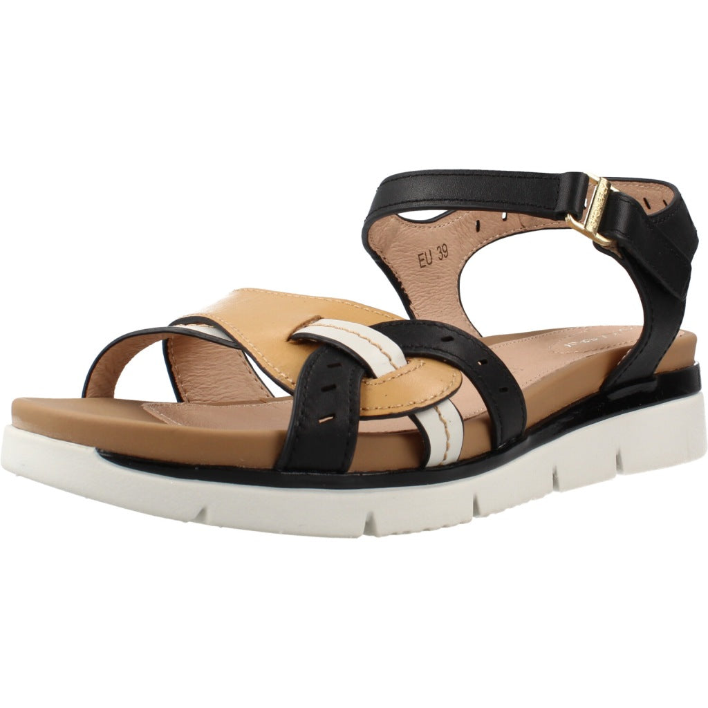 STONEFLY ELODY  en color MARRON  (1)