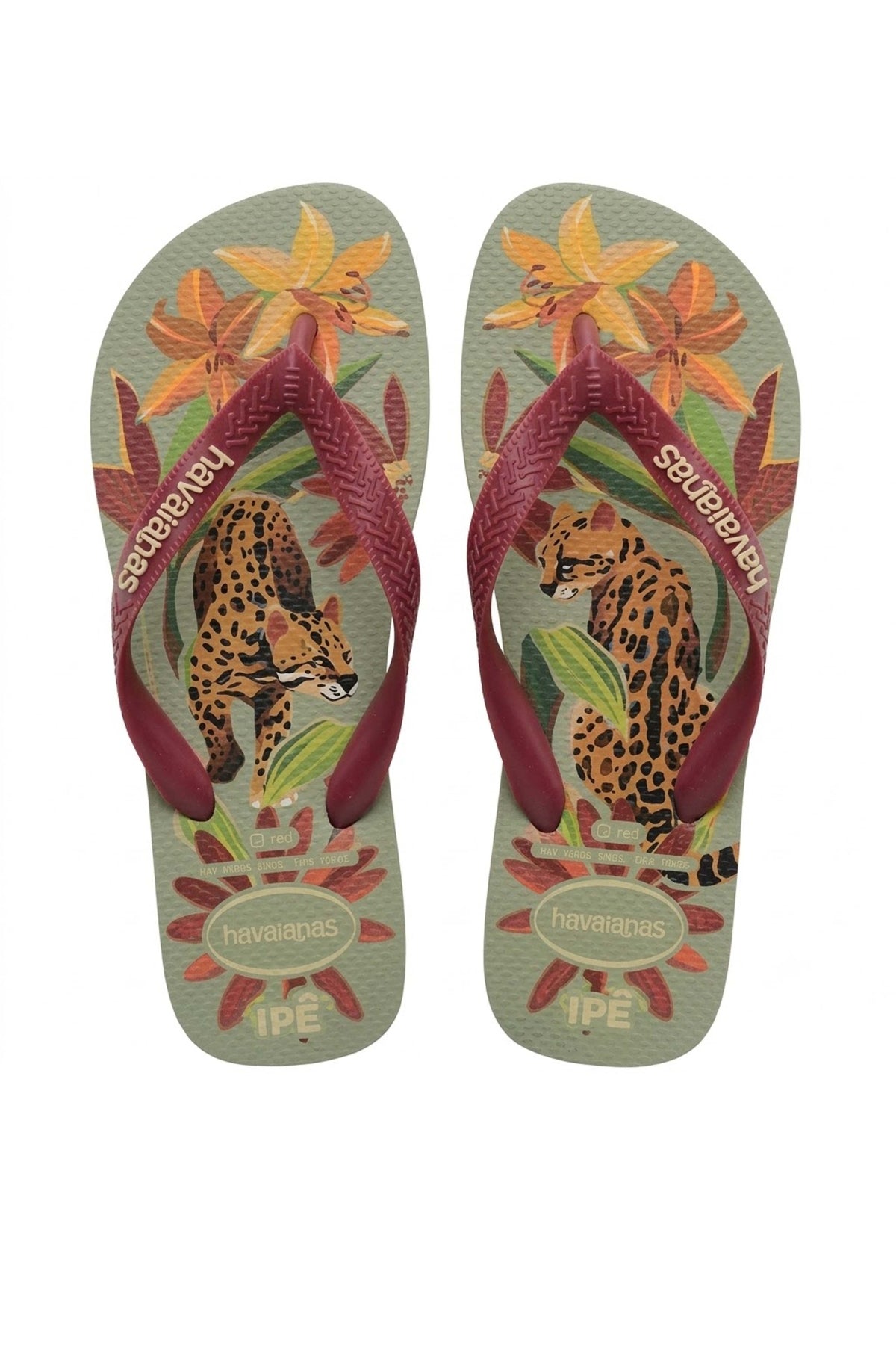 HAVAIANAS HAV. IPE SS en color ROJO  (1)