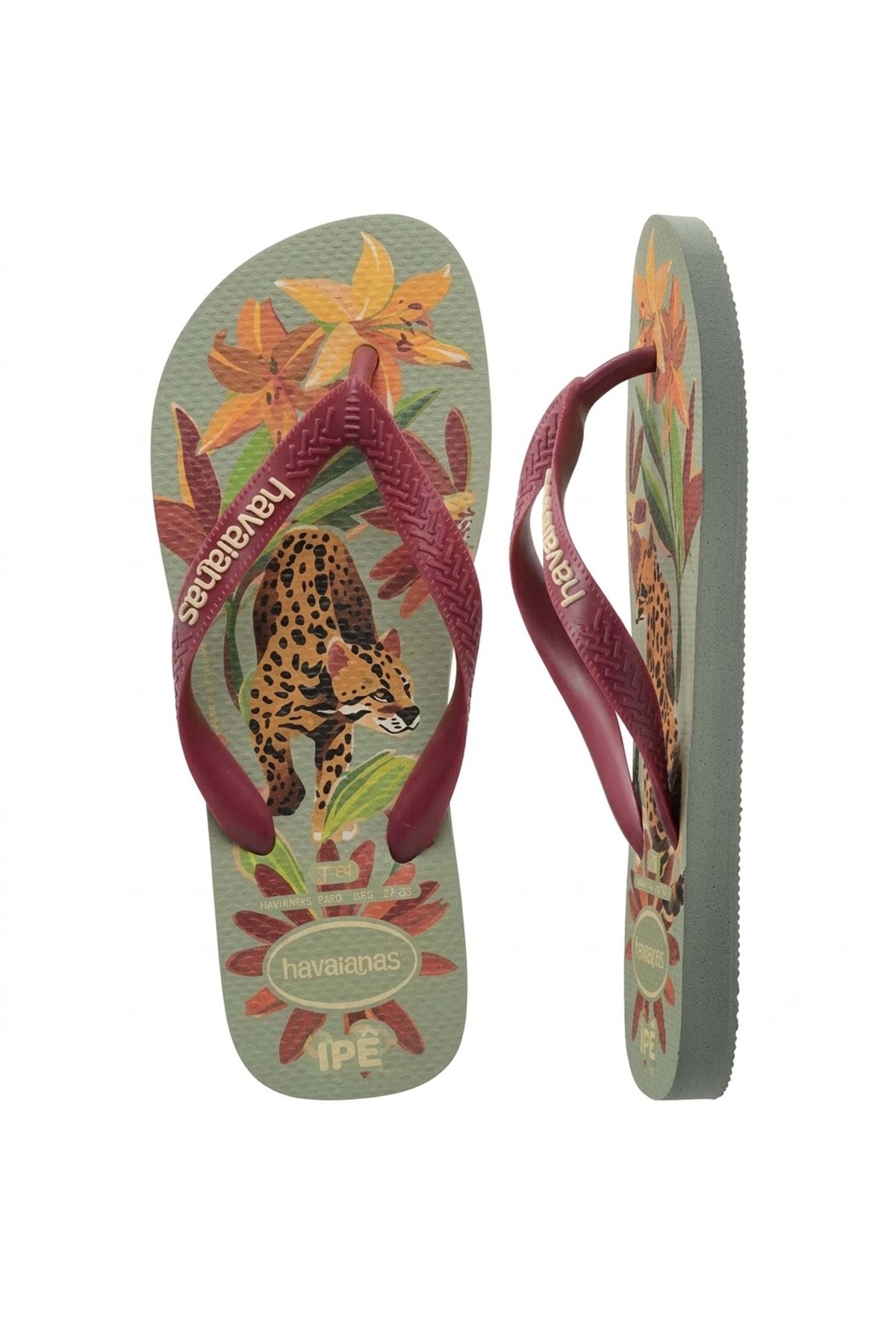 HAVAIANAS HAV. IPE SS en color ROJO  (3)
