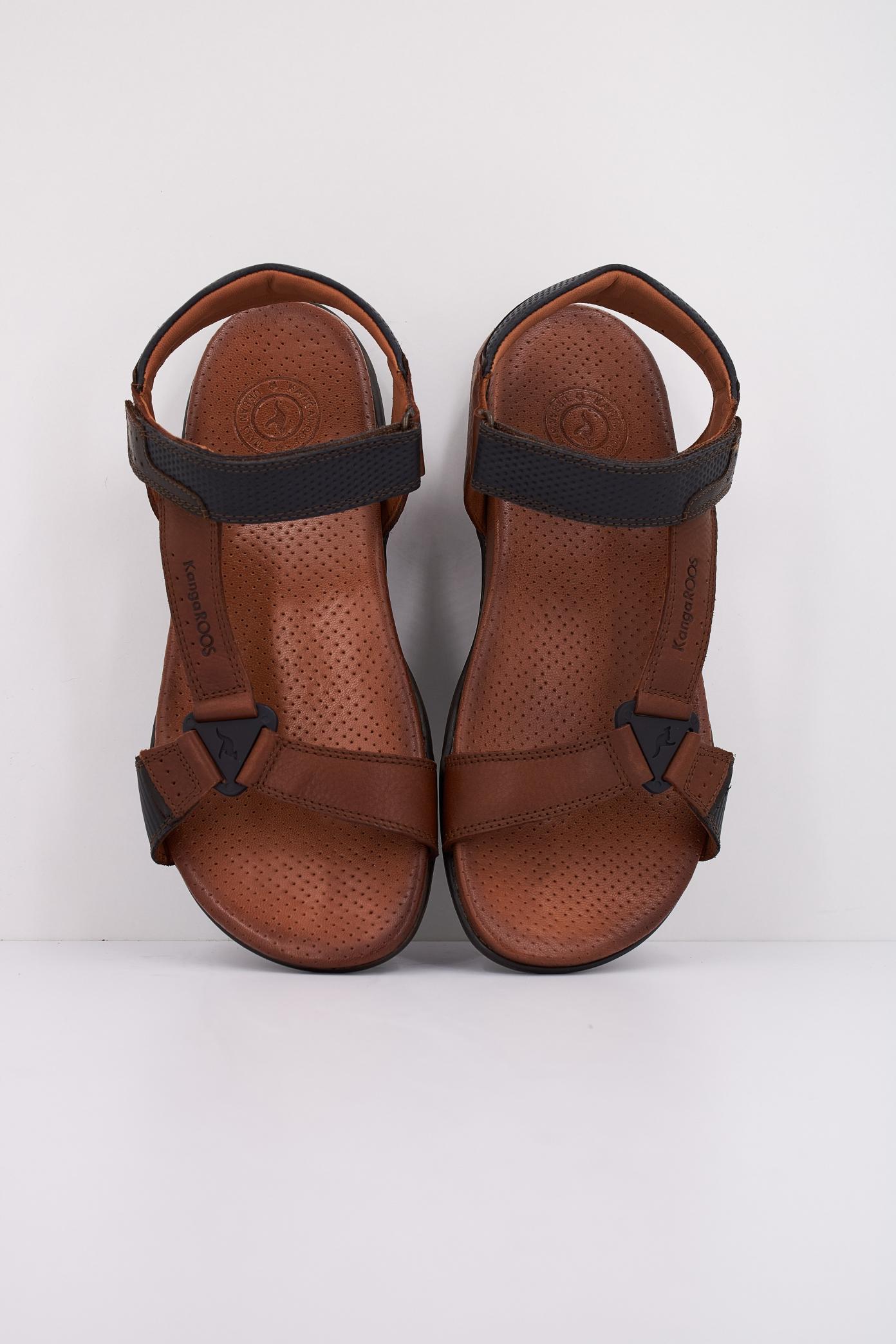 KANGAROOS K en color MARRON  (3)