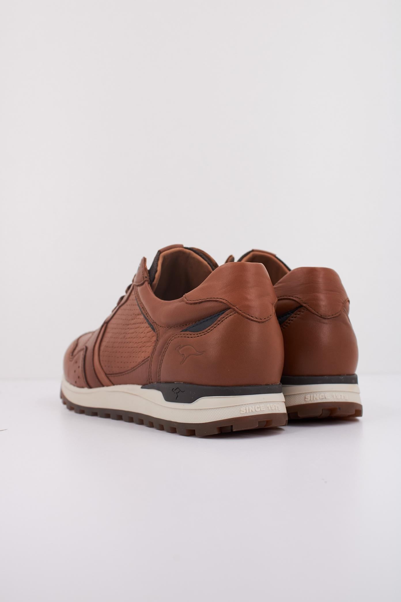 KANGAROOS K en color MARRON  (4)
