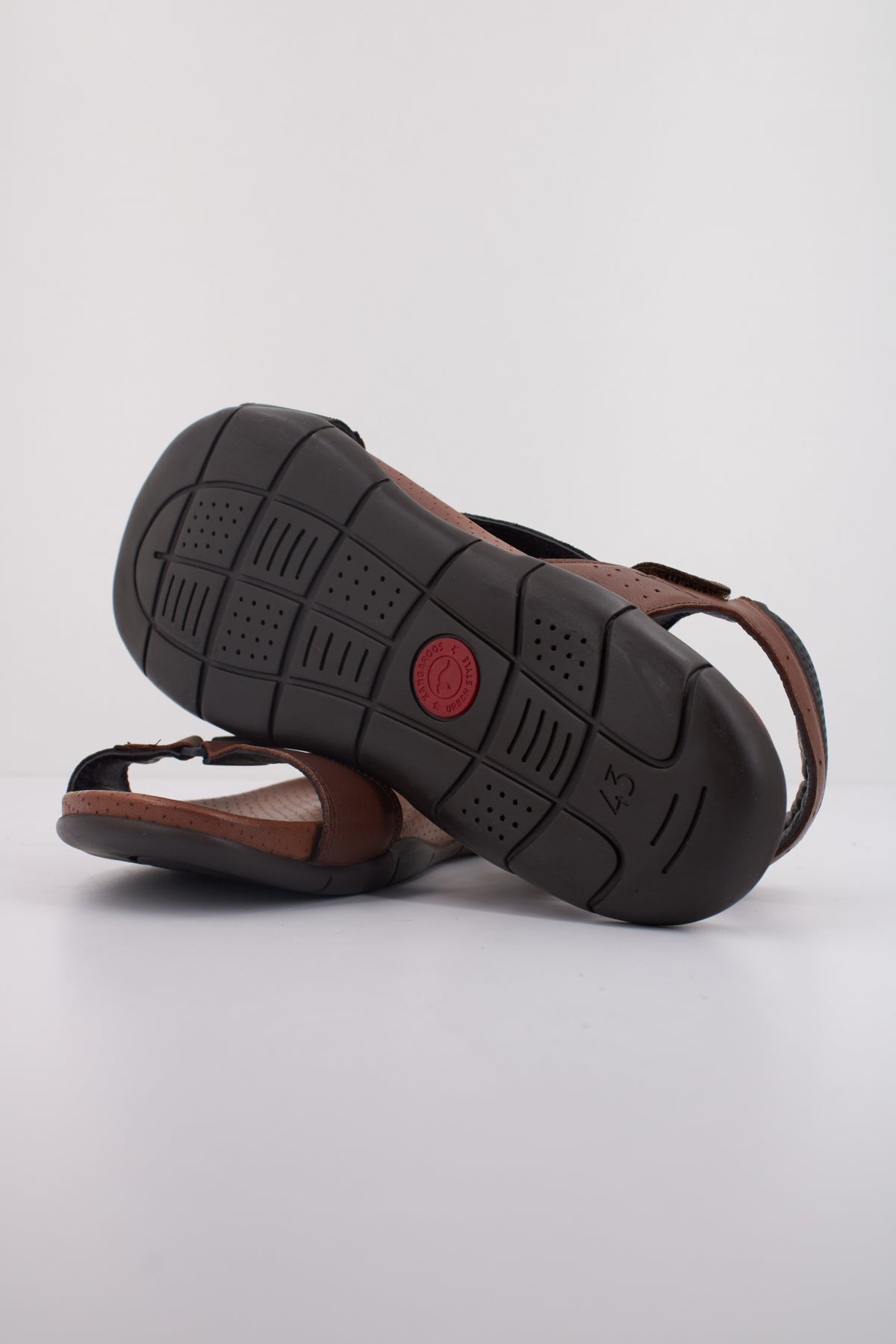 KANGAROOS K  en color MARRON  (5)