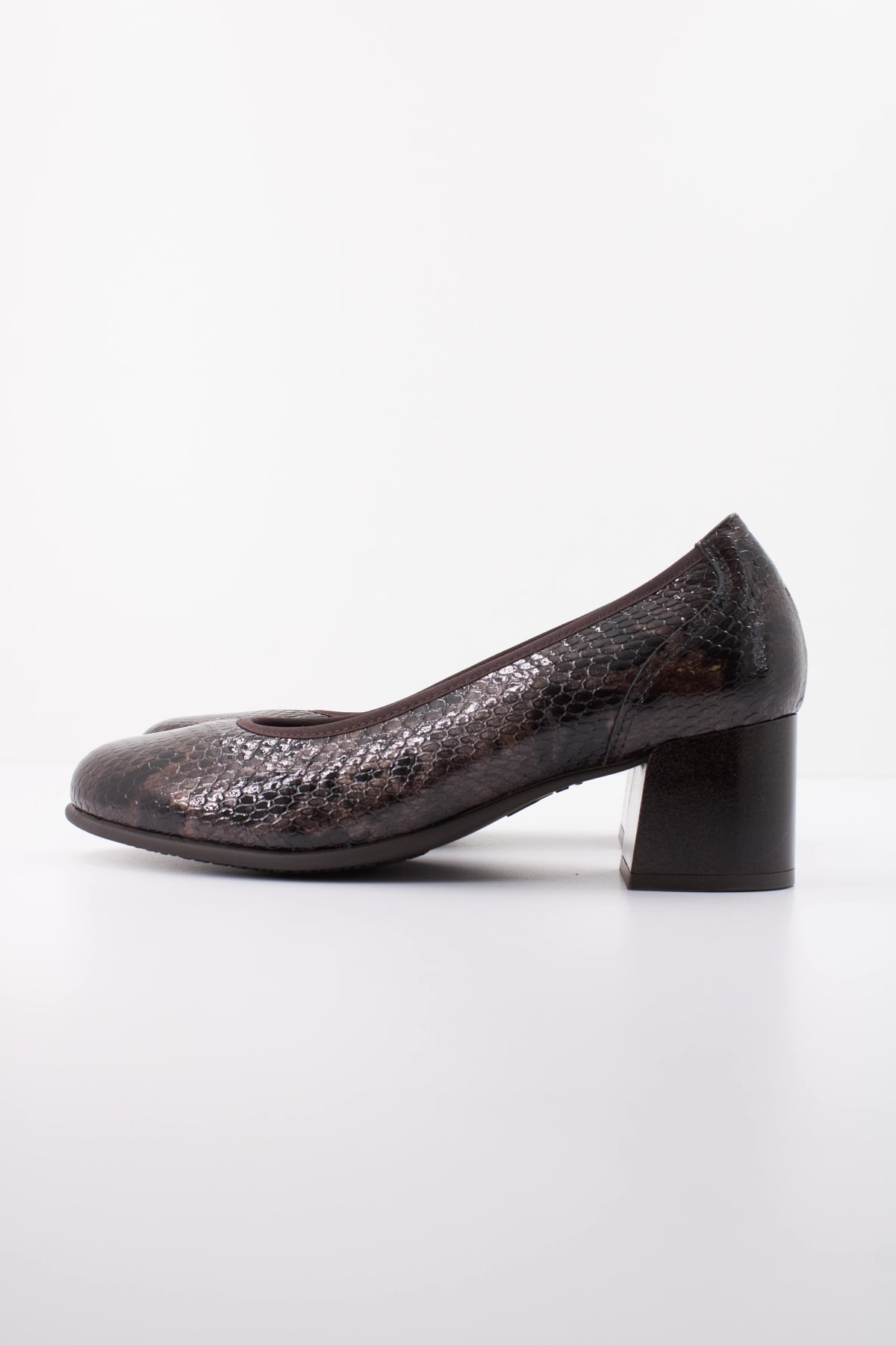 PITILLOS P SALON SERPIENTE CHAROL en color MARRON  (1)