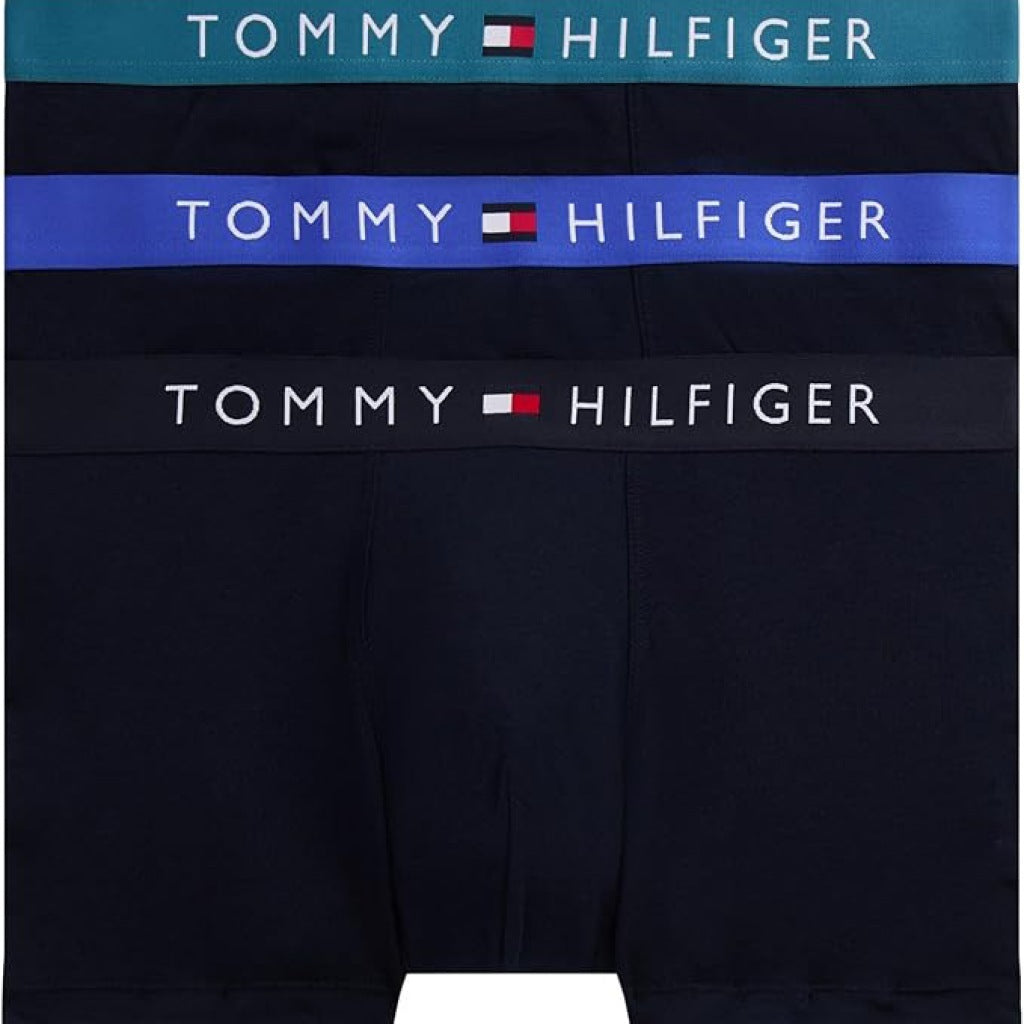 TOMMY HILFIGER UMUM en color MULTICOLOR  (4)