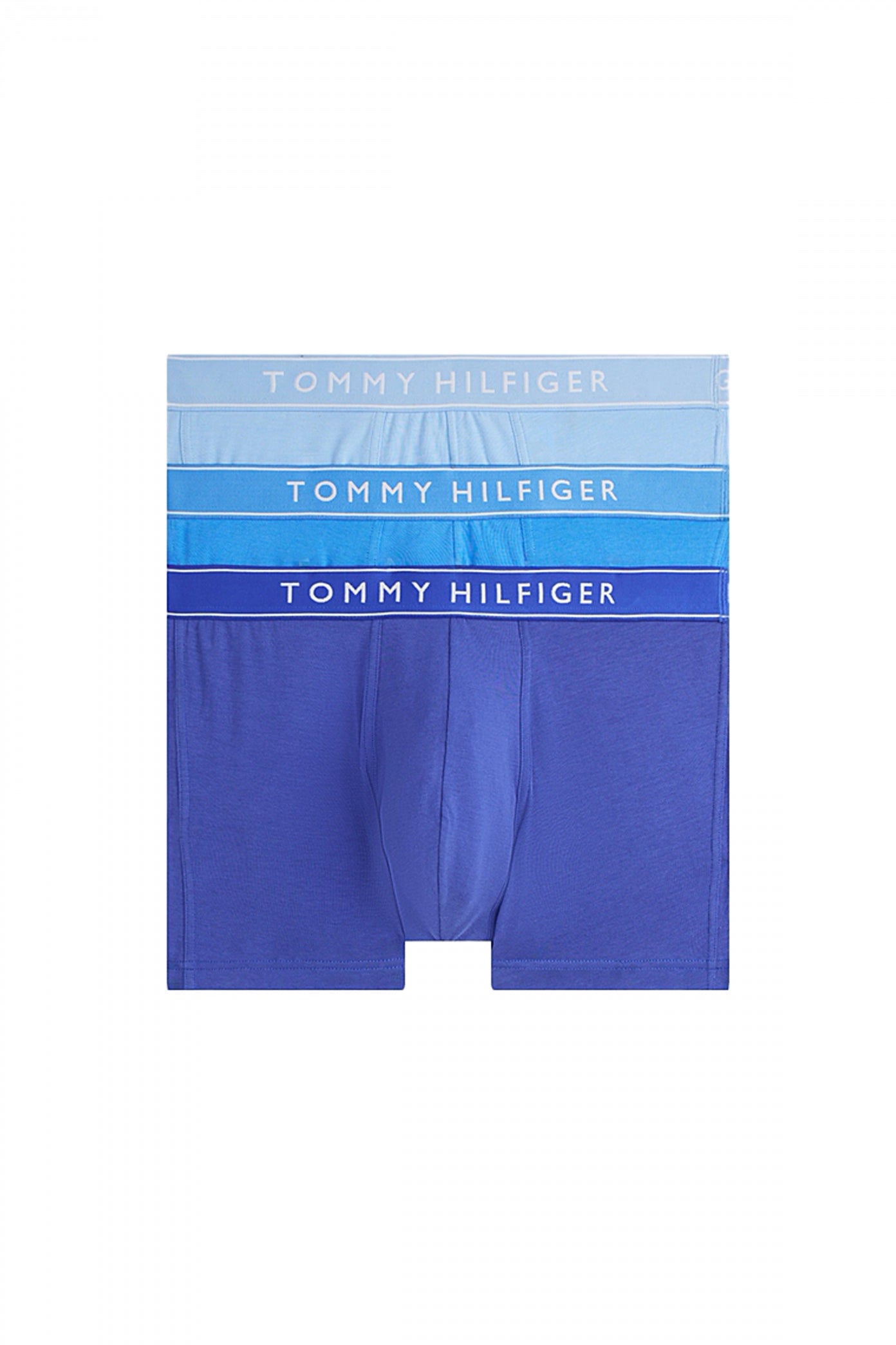 TOMMY HILFIGER UMUM en color AZUL  (1)