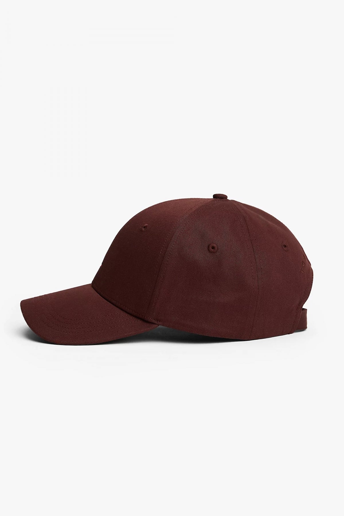 TOMMY HILFIGER TH FLAG COTTON  PANEL C en color MARRON CLARO  (3)
