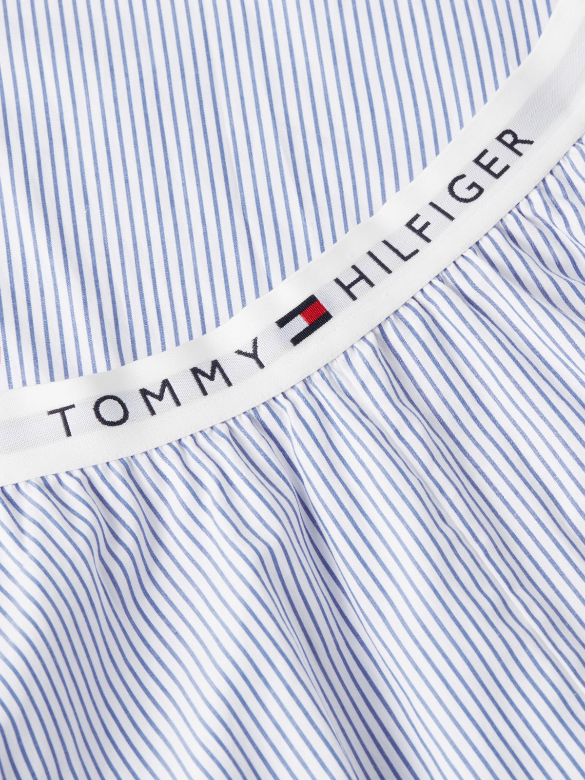 TOMMY HILFIGER WWWW en color AZUL  (3)