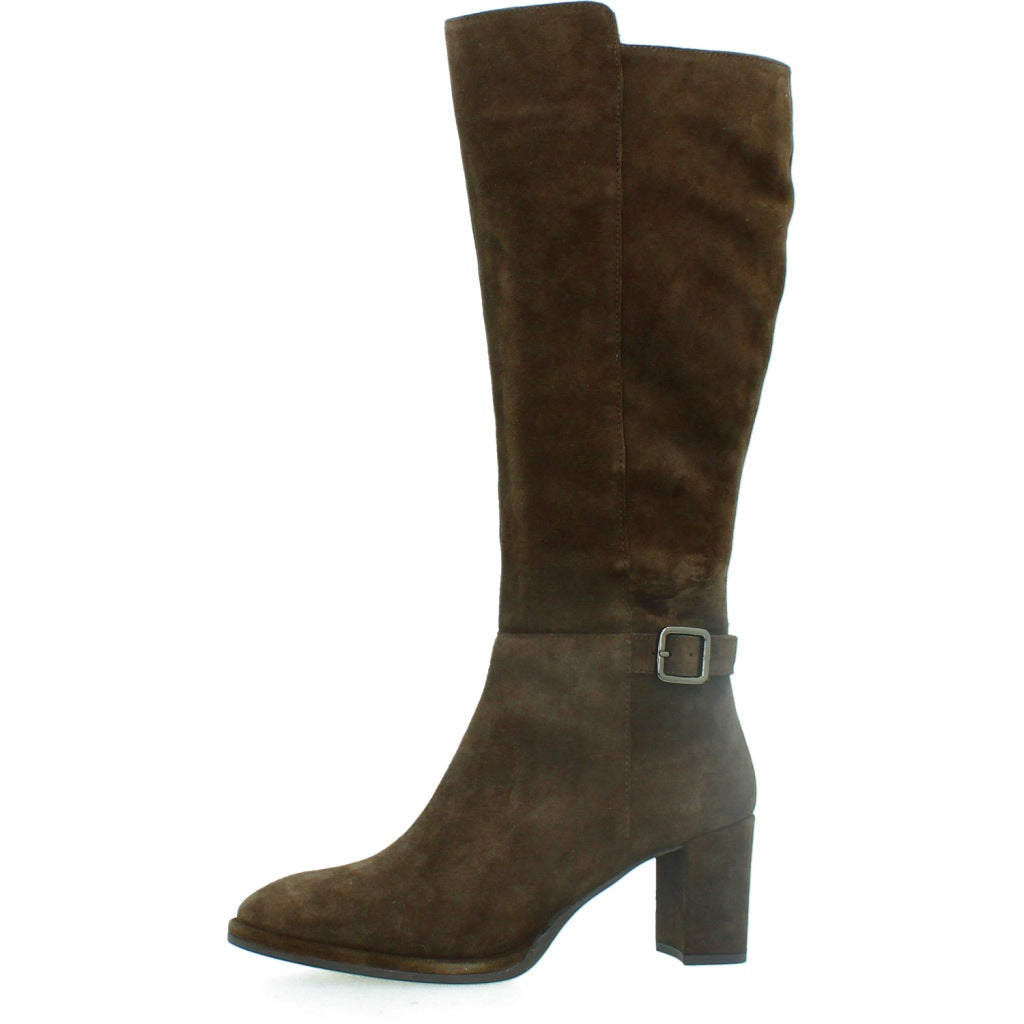 UNISA LEBRUN BS en color MARRON  (2)