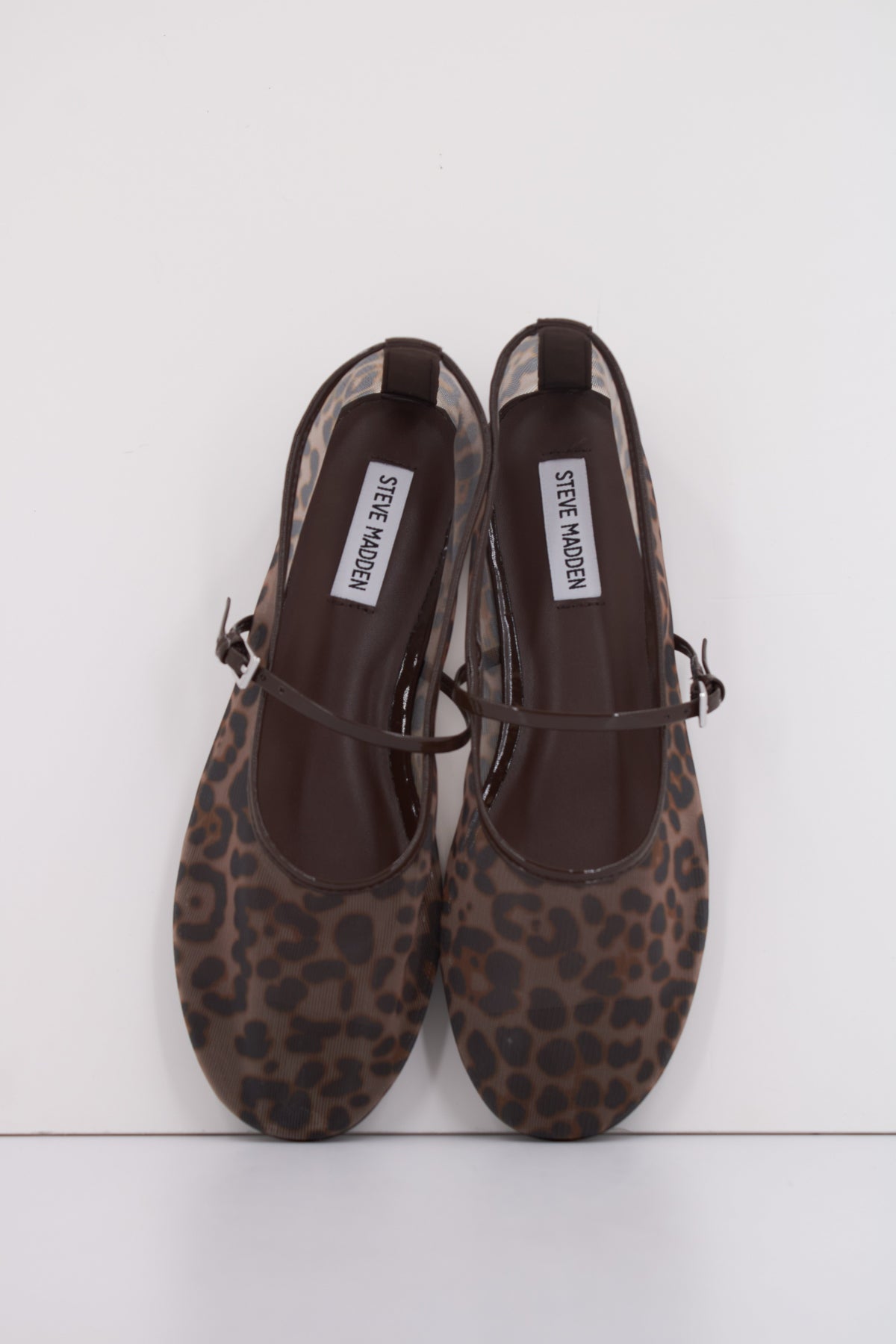STEVE MADDEN MASH en color ANIMAL PRINT  (3)